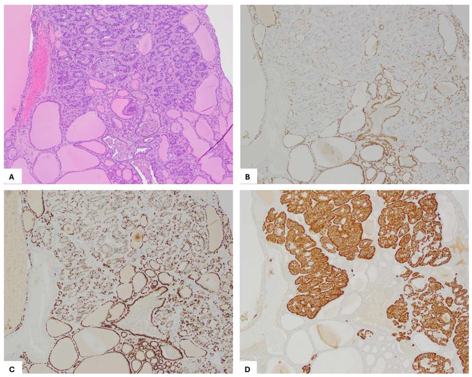 Preprints 151211 g004
