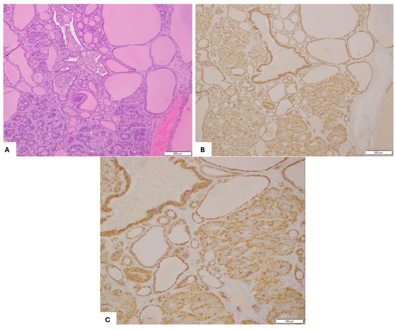 Preprints 151211 g005