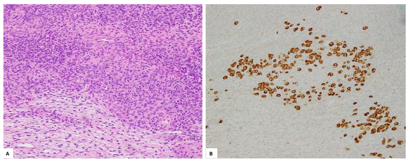 Preprints 151211 g006