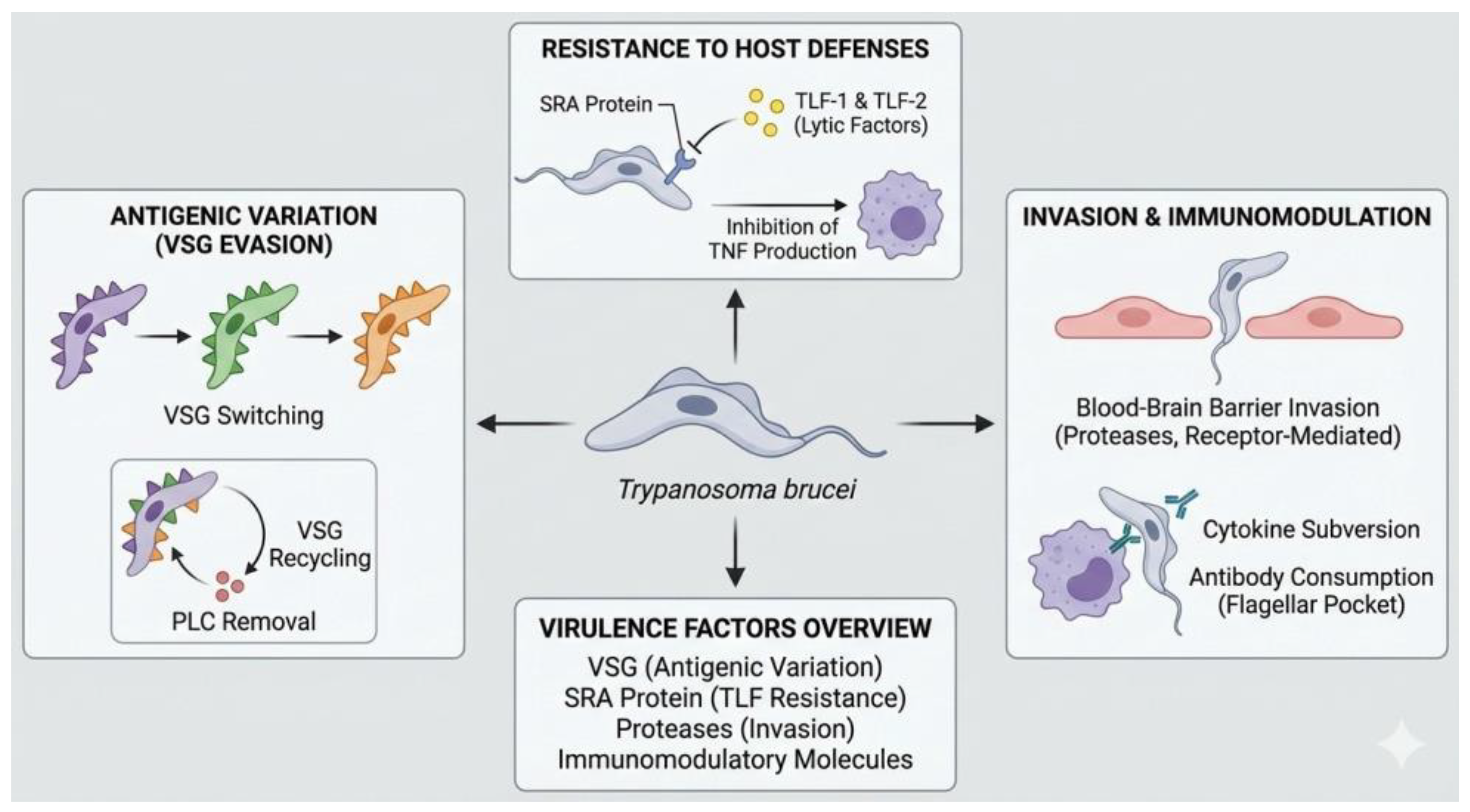 Preprints 194872 g001