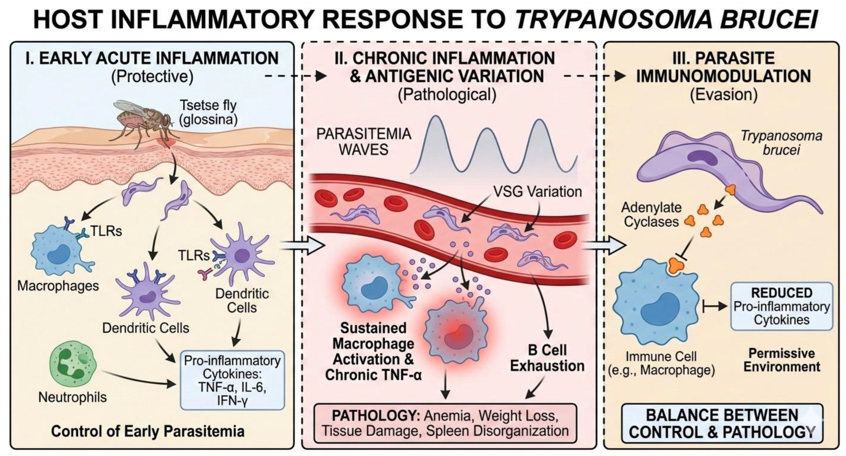 Preprints 194872 g002