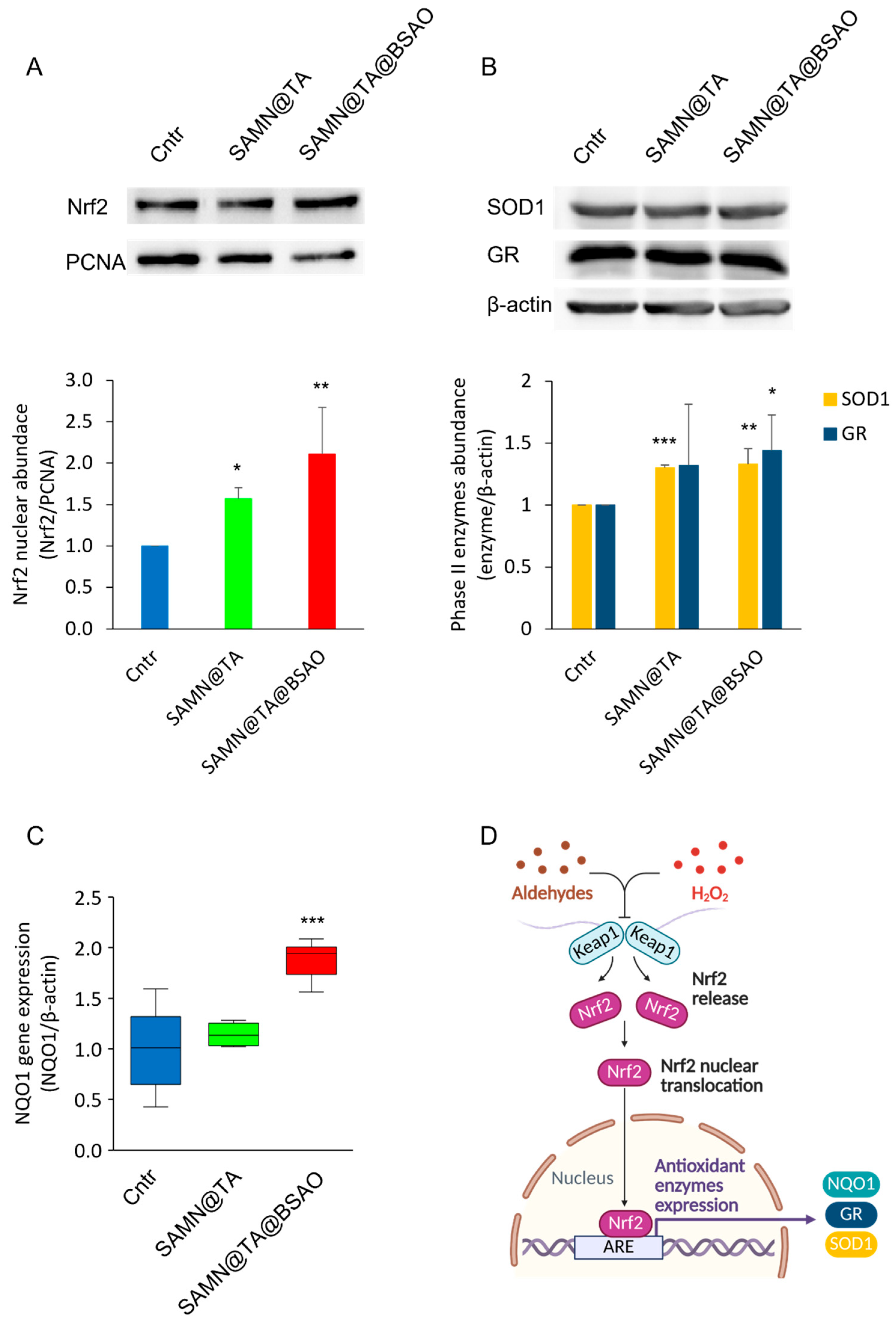 Preprints 224831 g005 Preprints 224831 g005