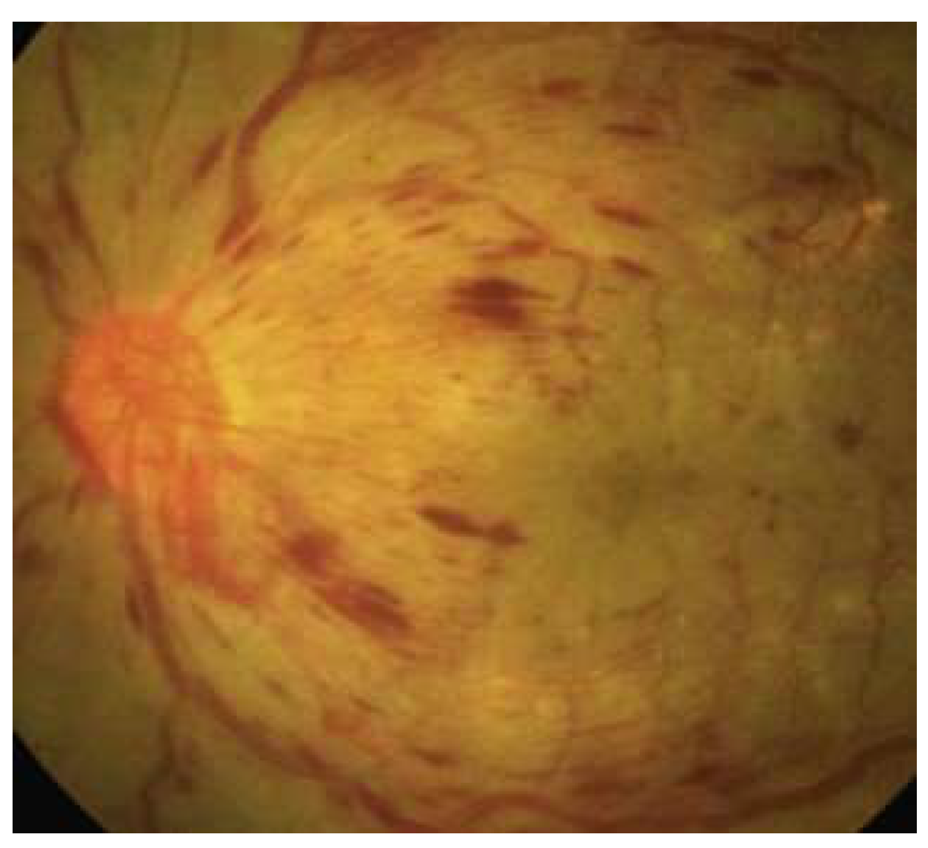 Preprints 95943 g002