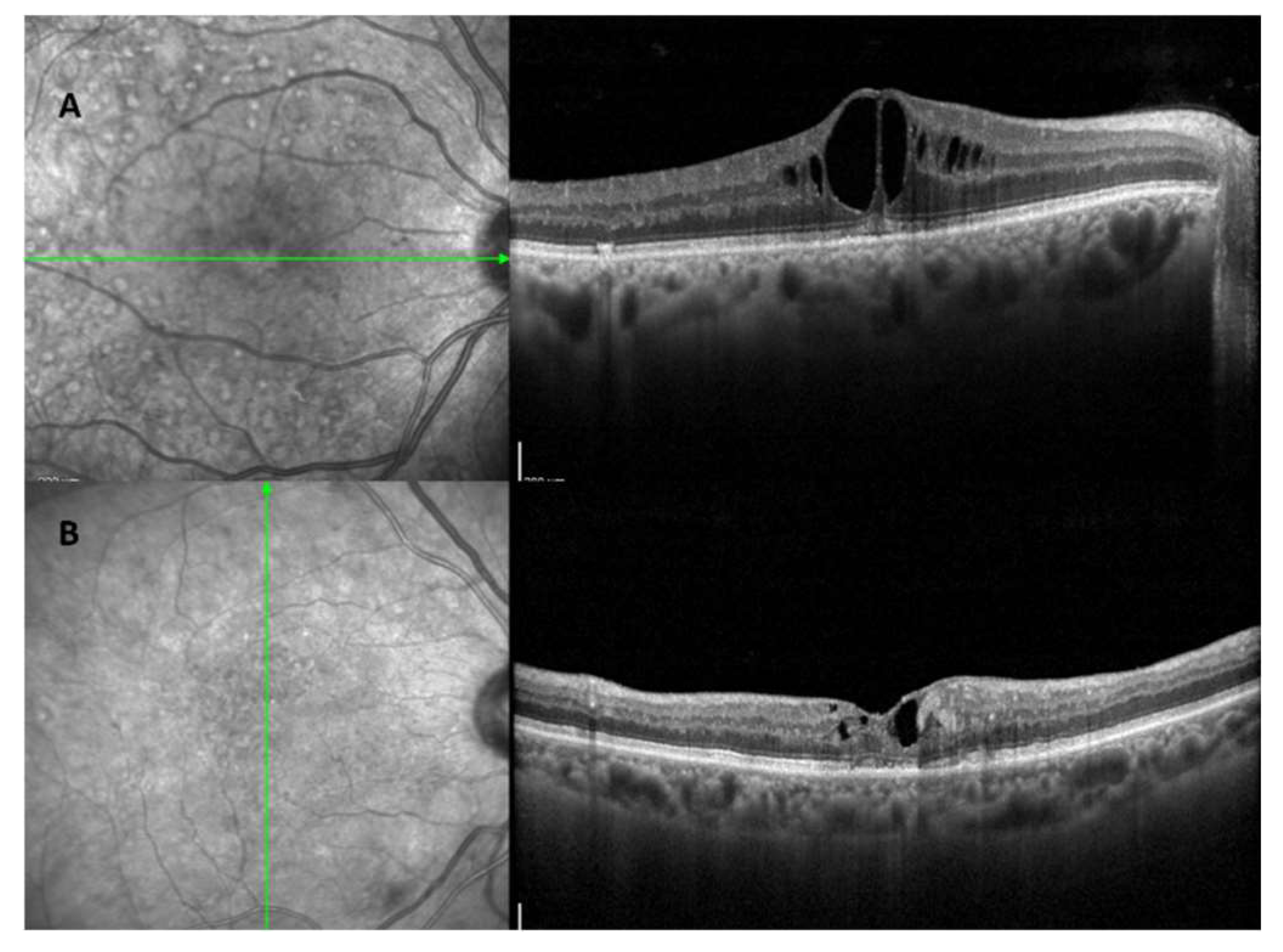 Preprints 95943 g003