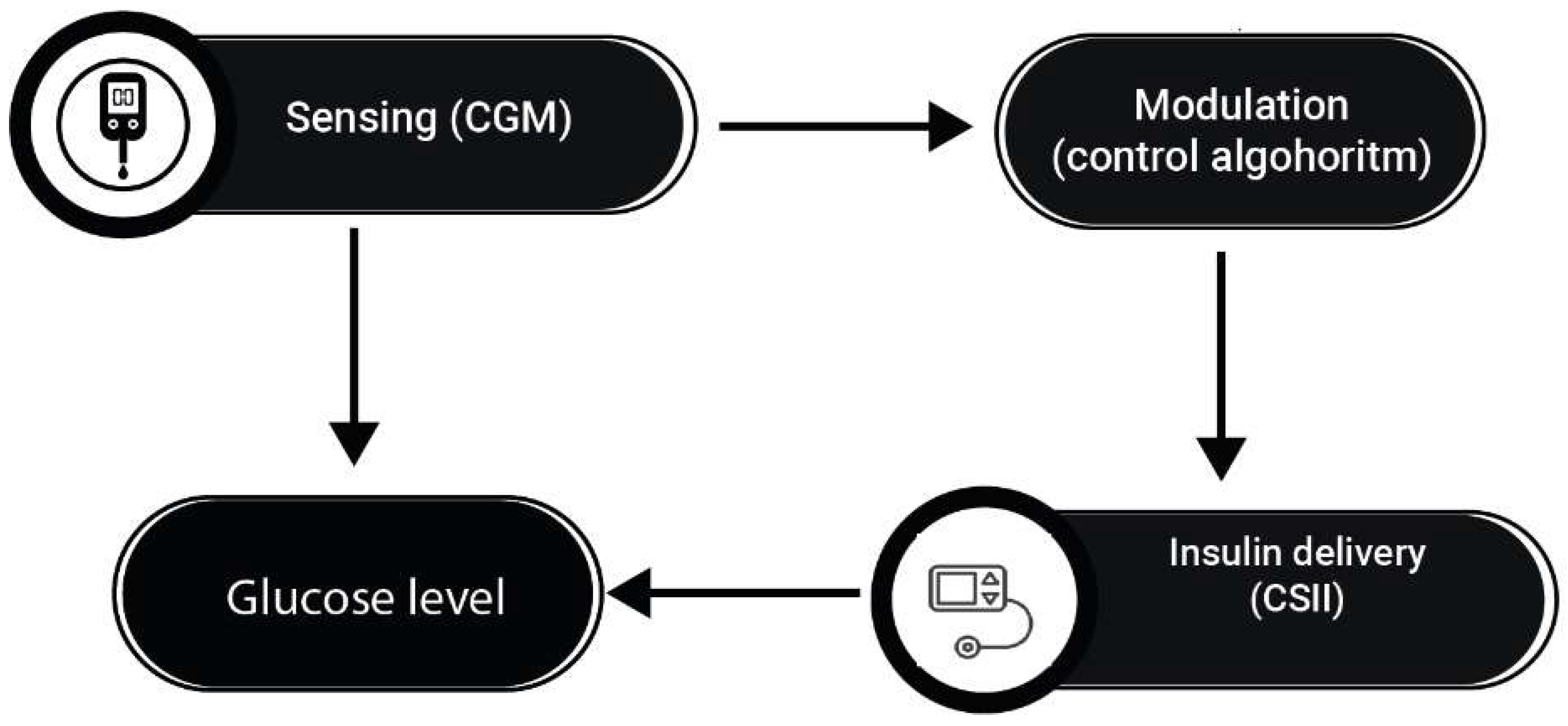 Preprints 95943 g004