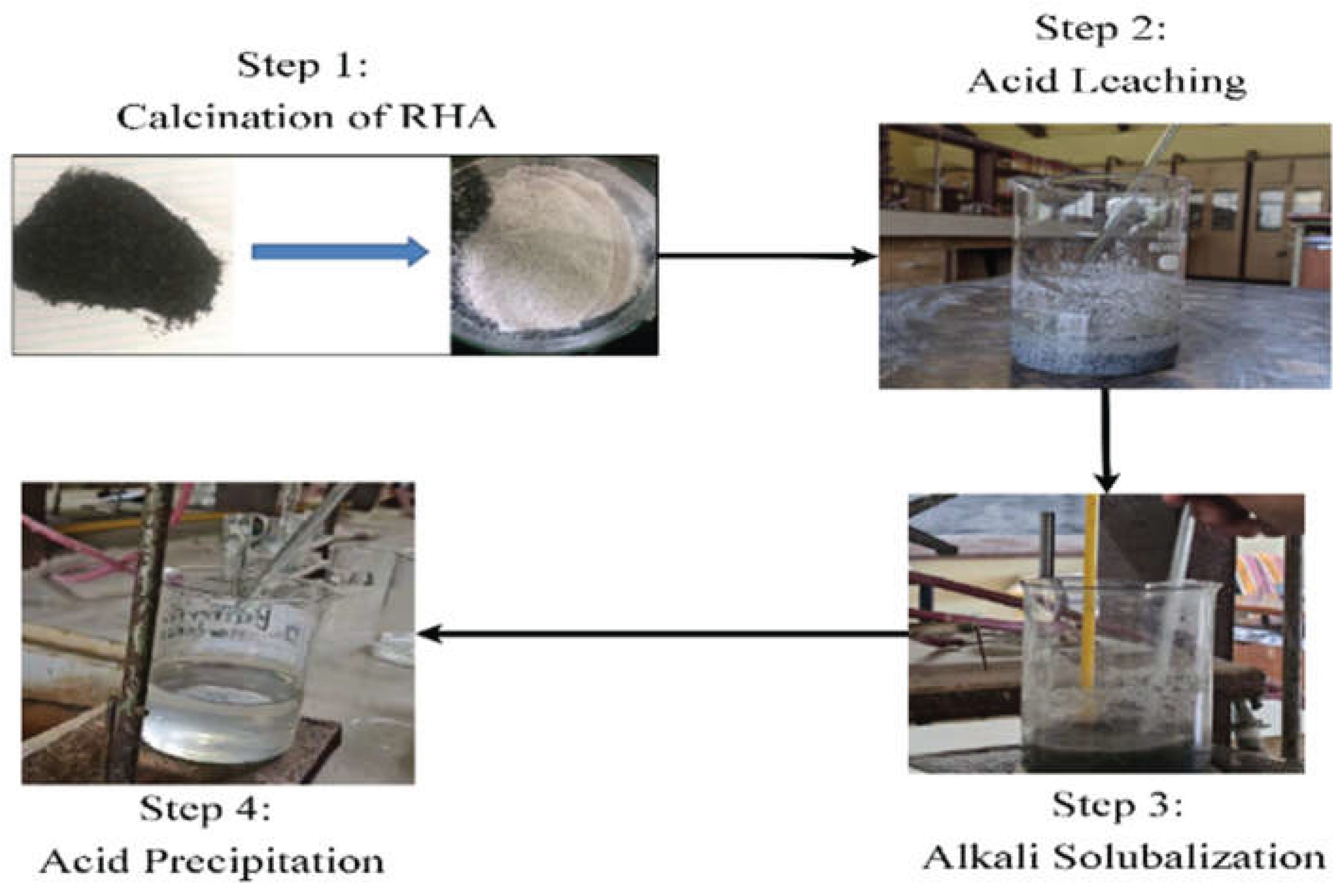Preprints 190435 g005