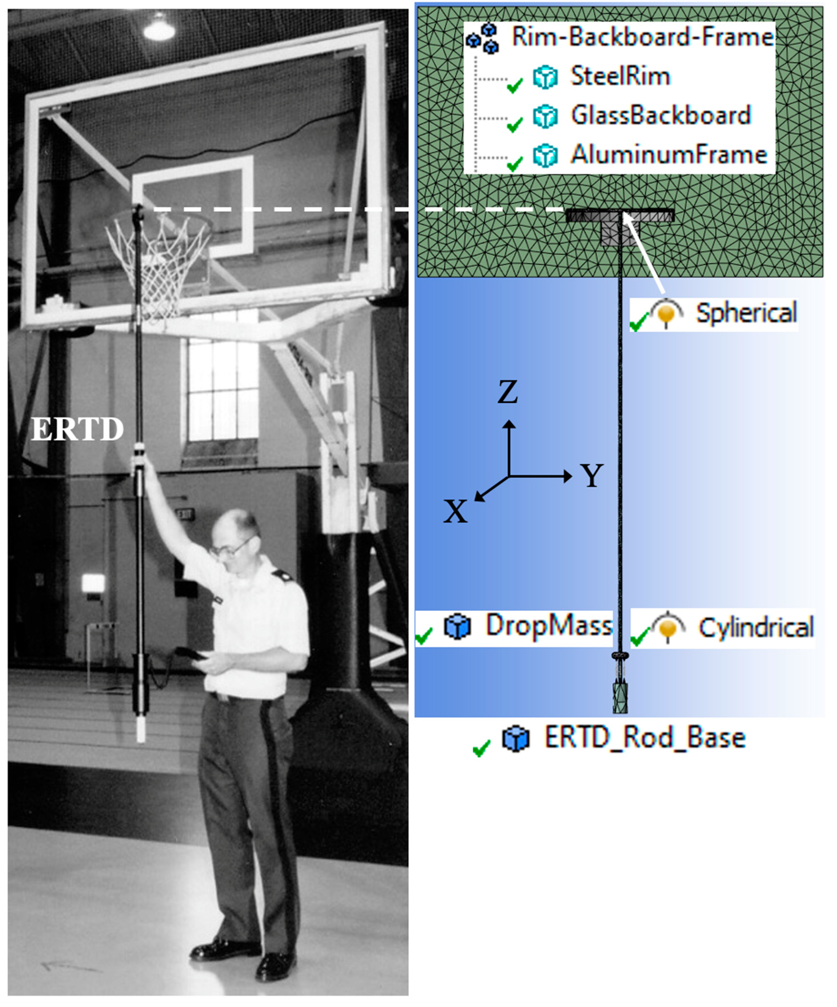 Preprints 142730 g002