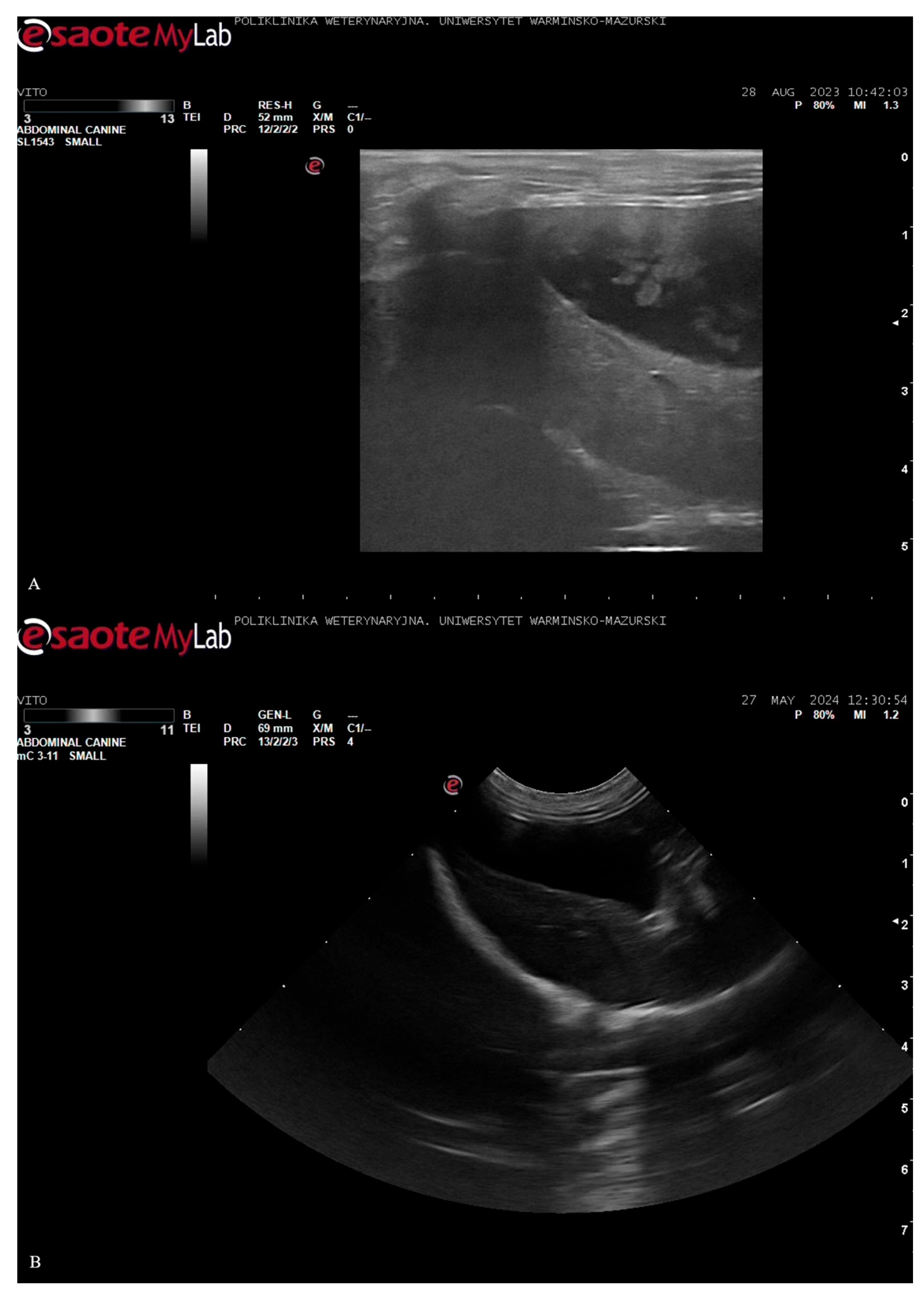 Preprints 161498 g001