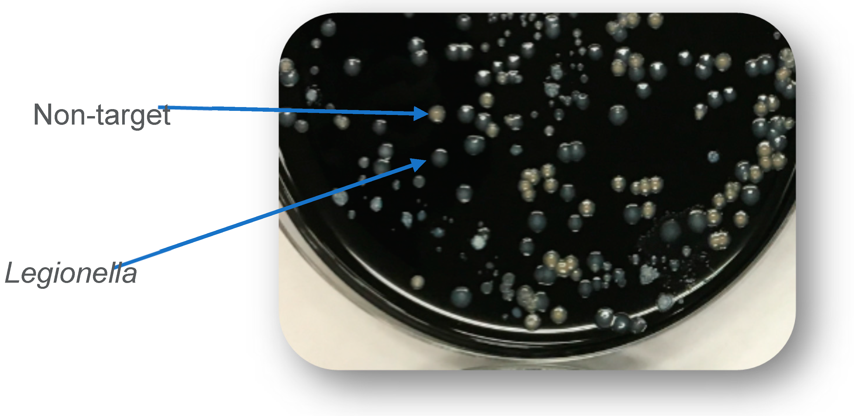 Preprints 146415 g004