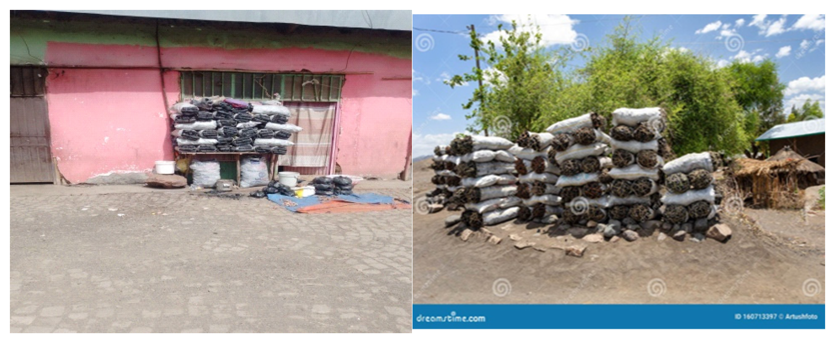 Preprints 139444 g003