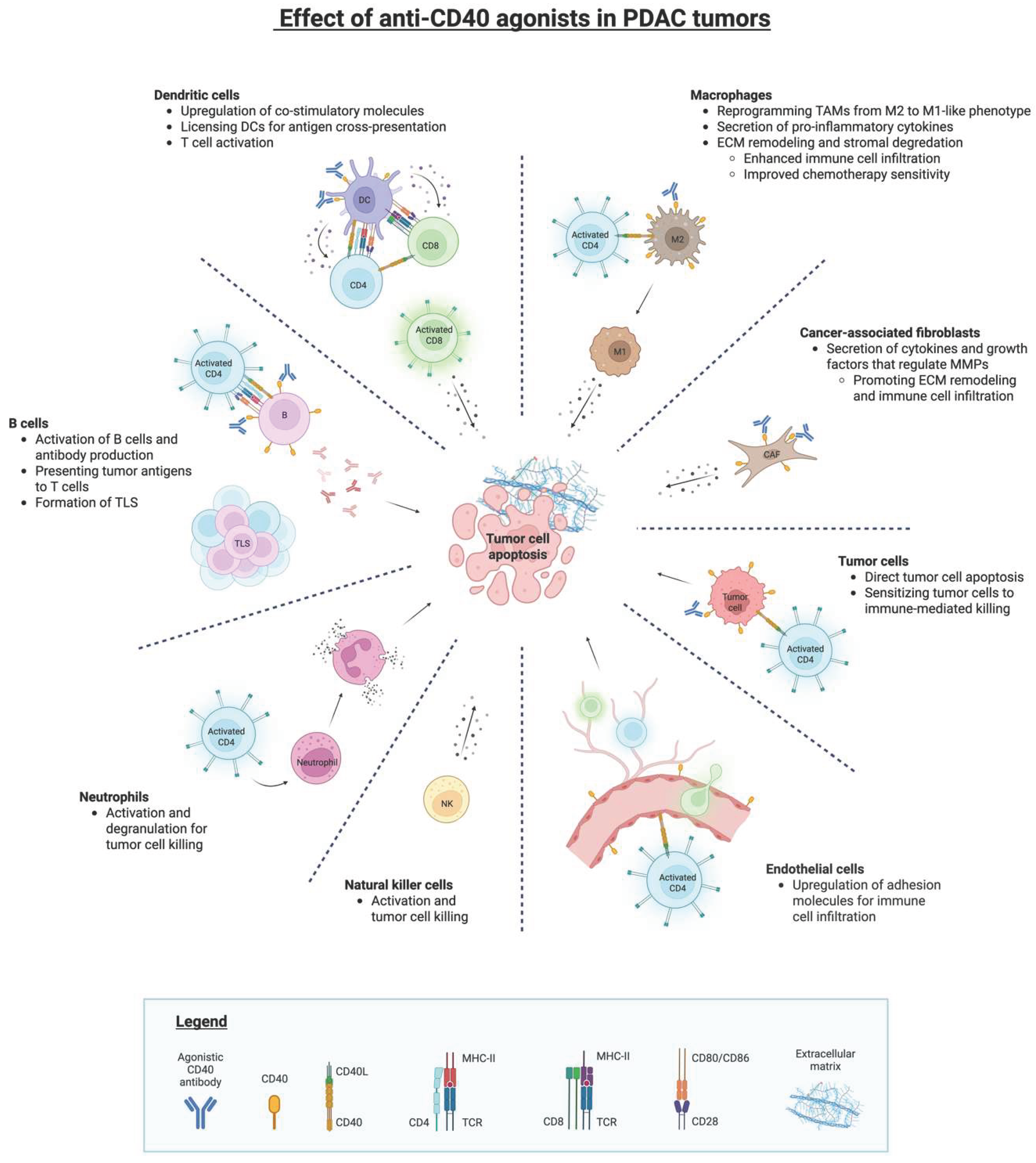 Preprints 211500 g001