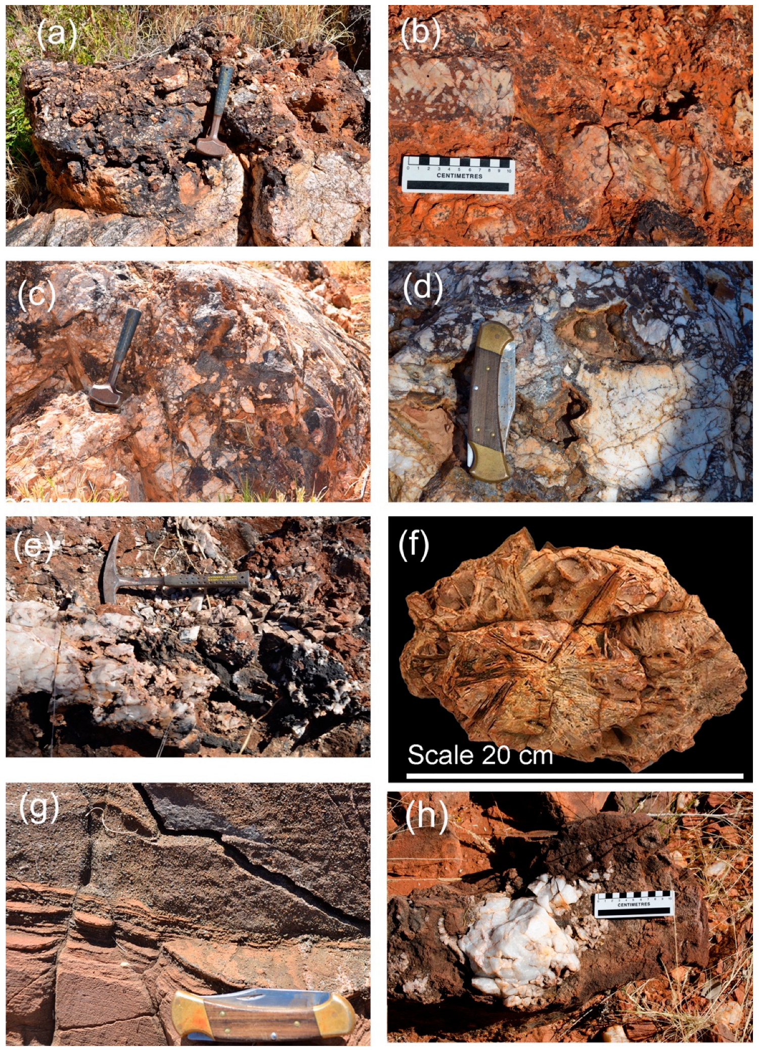 Preprints 194429 g003