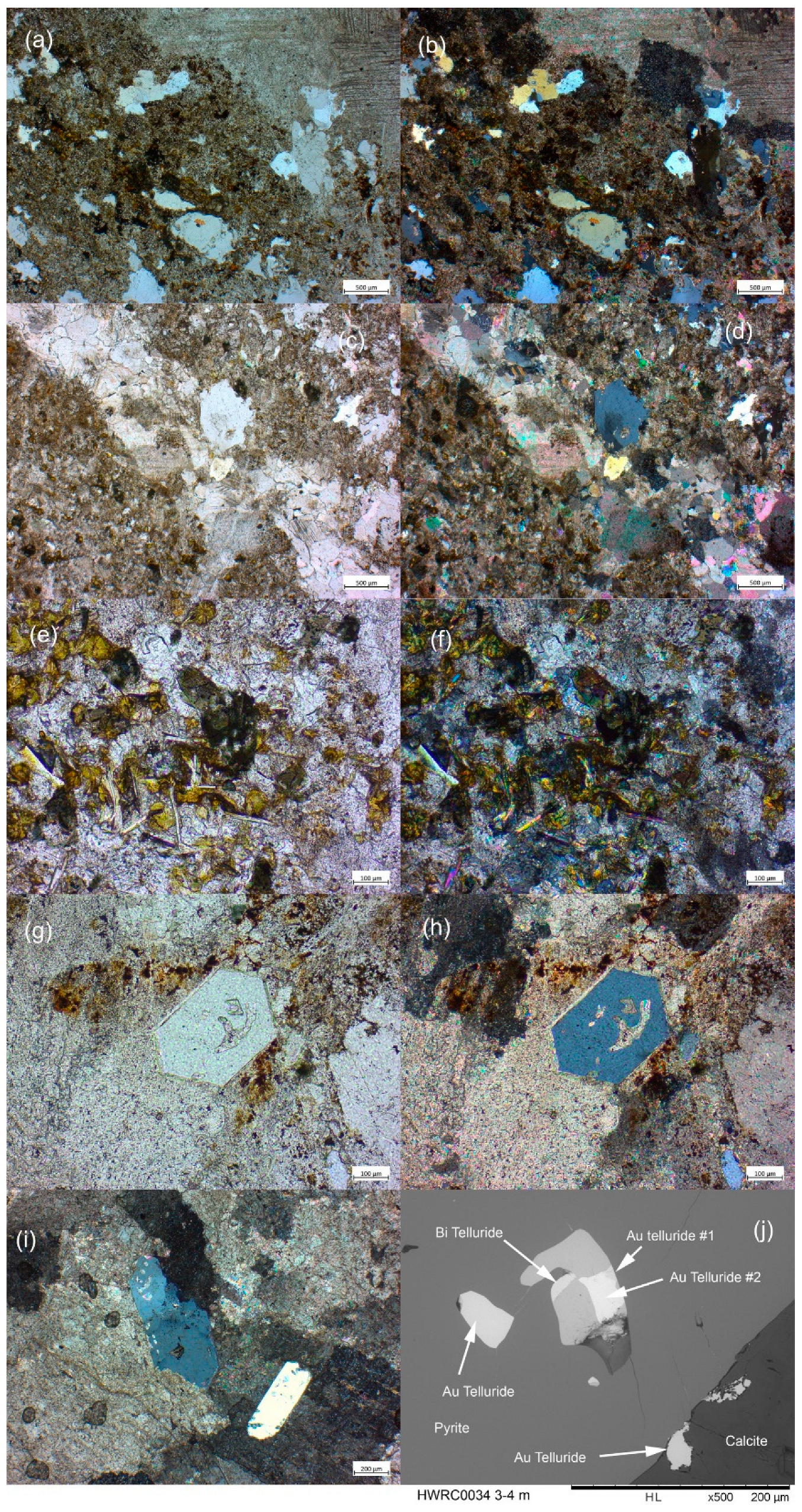 Preprints 194429 g005