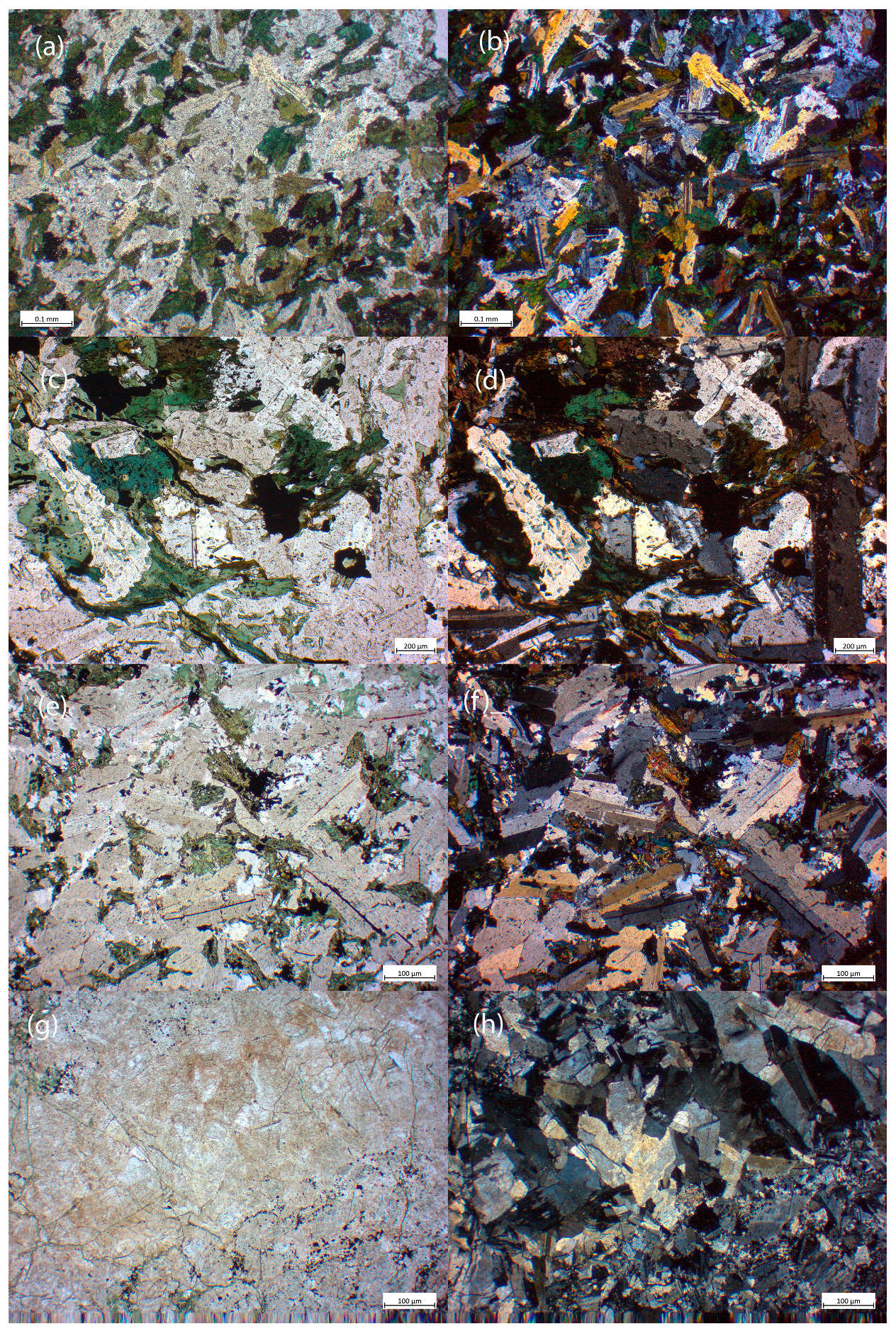 Preprints 194429 g006