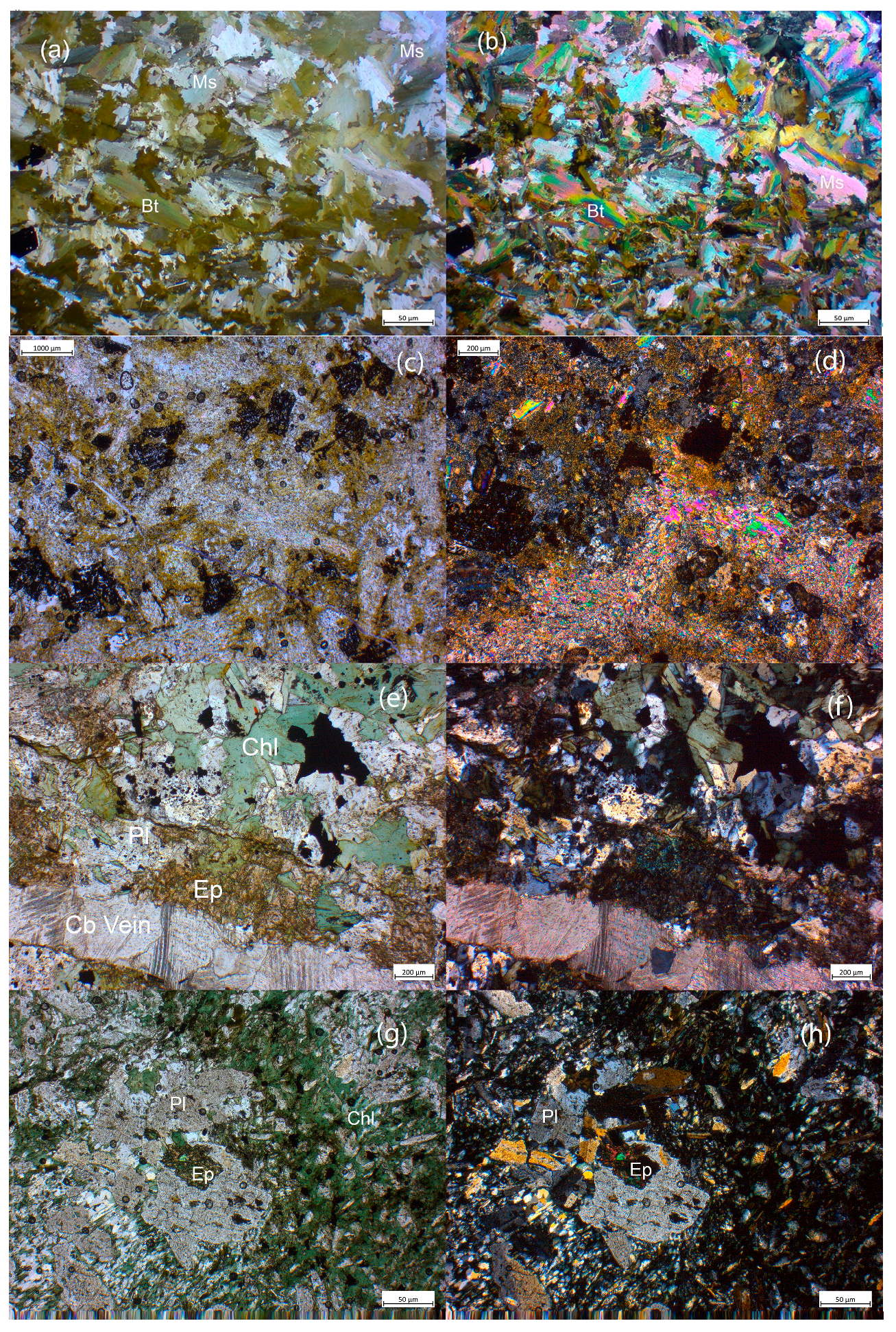 Preprints 194429 g007