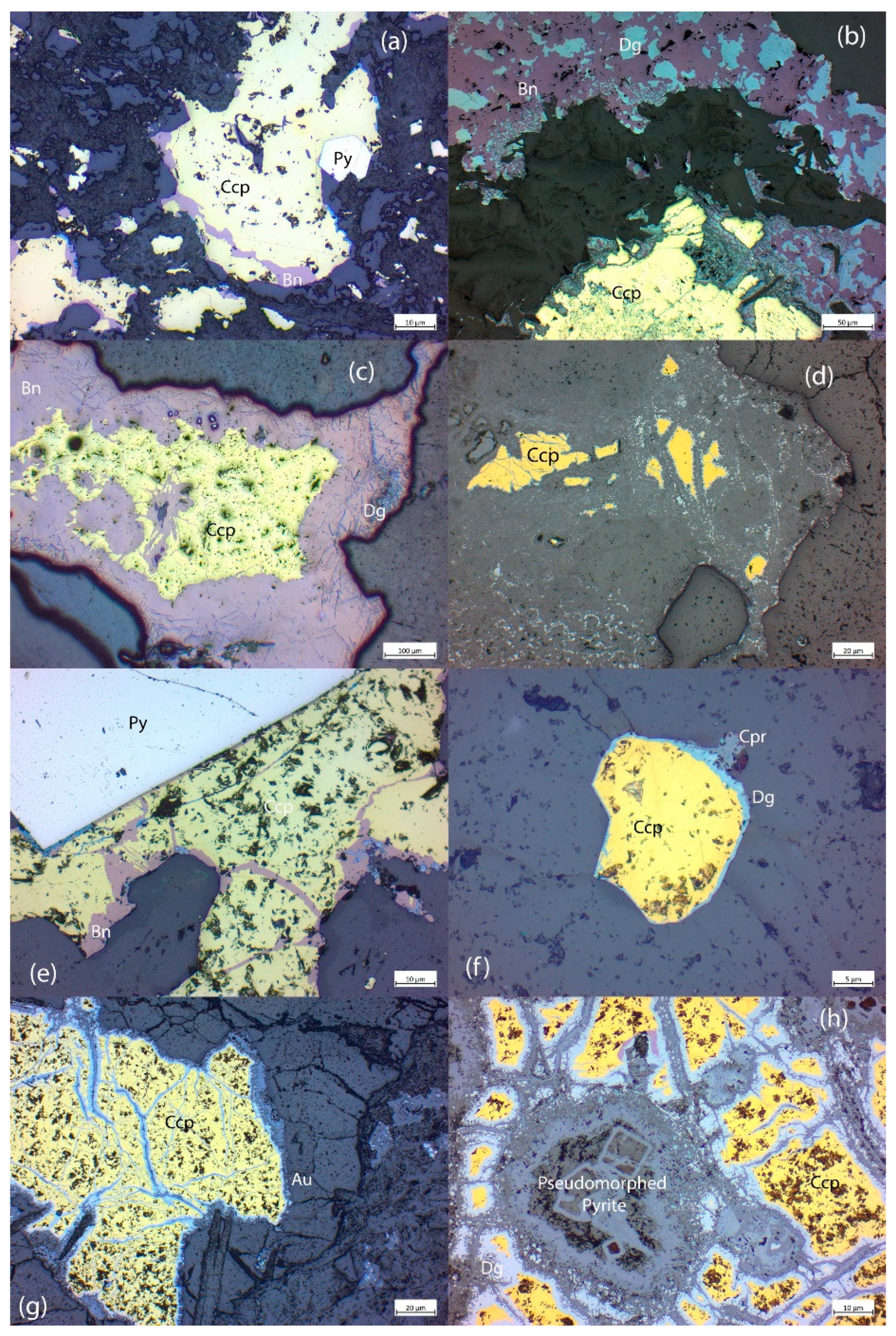 Preprints 194429 g010