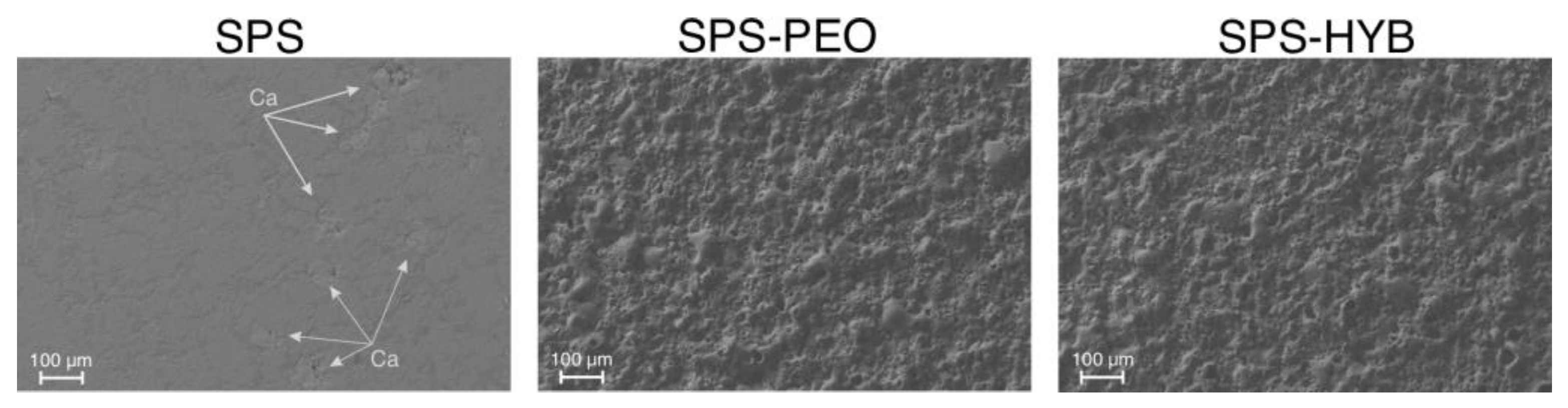 Preprints 164517 g004