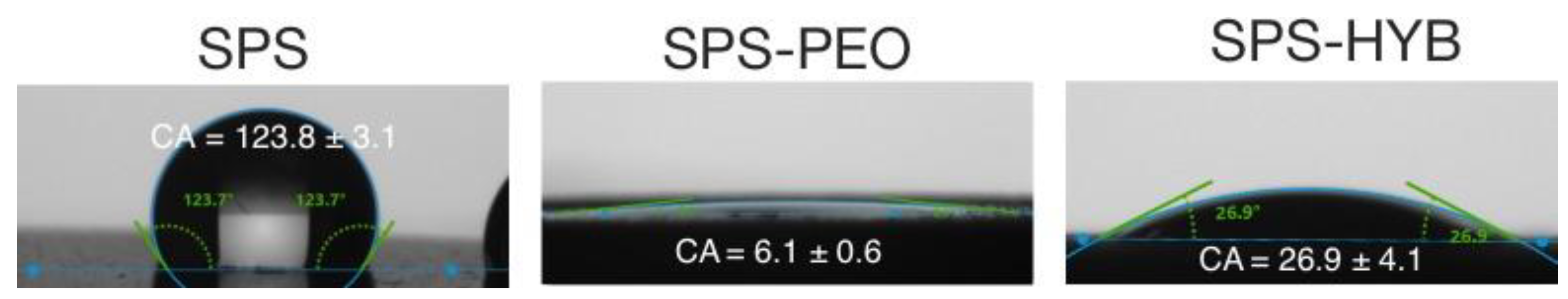 Preprints 164517 g006