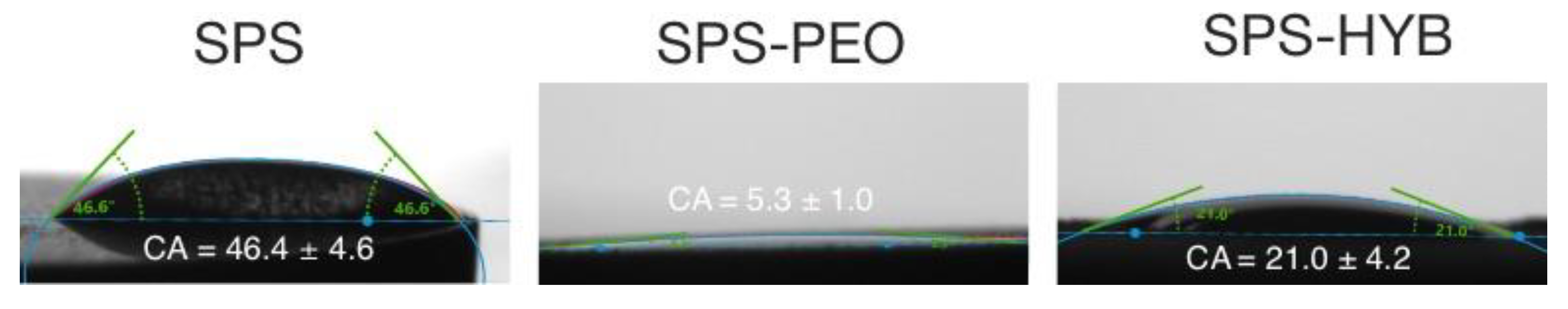 Preprints 164517 g008