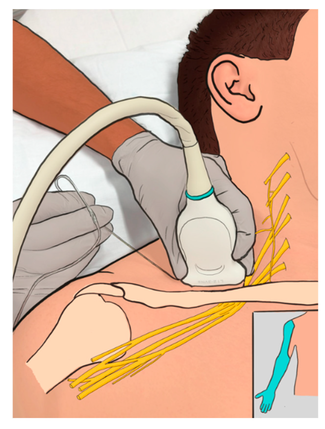 Preprints 155430 g001