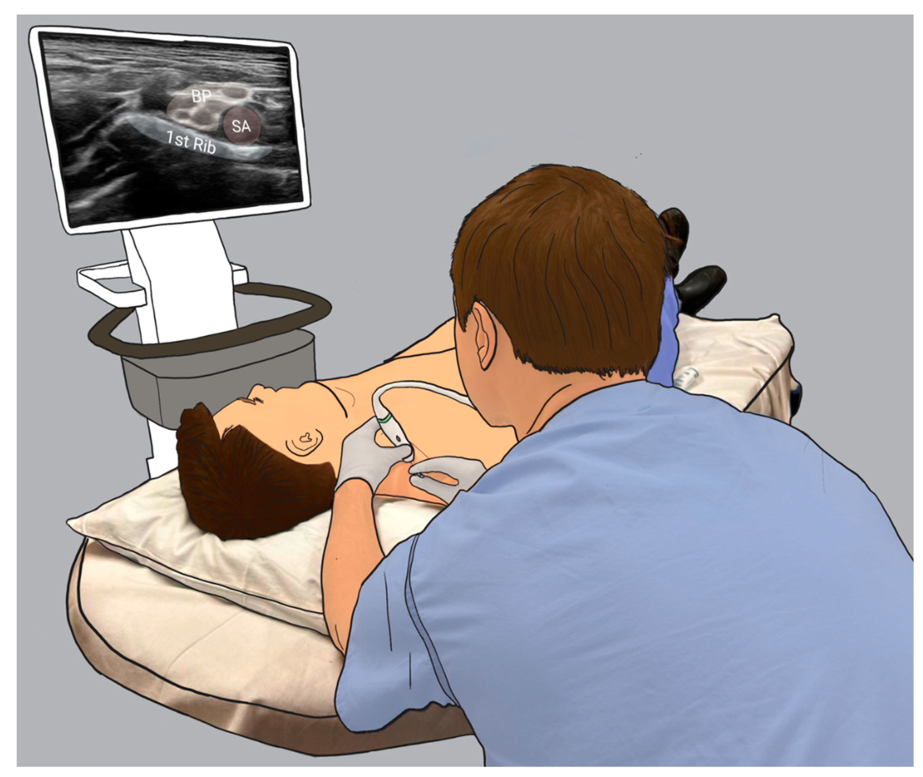 Preprints 155430 g002