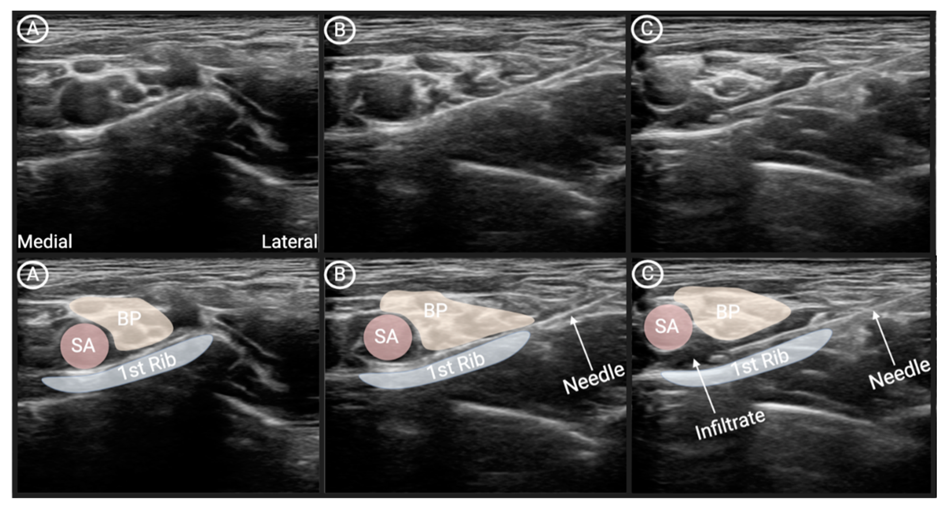Preprints 155430 g003