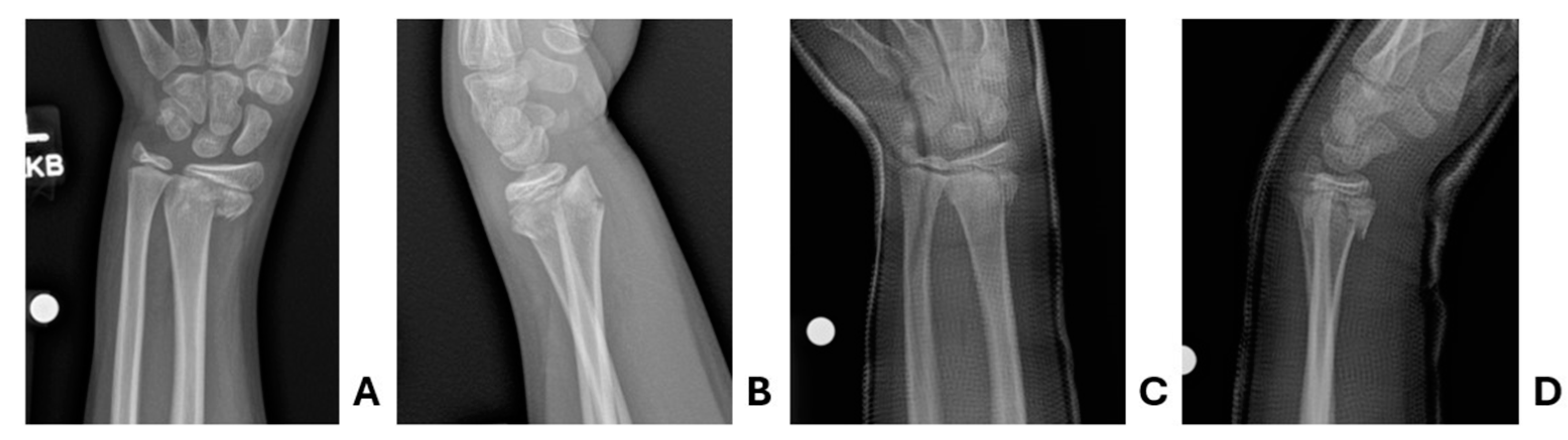 Preprints 155430 g004