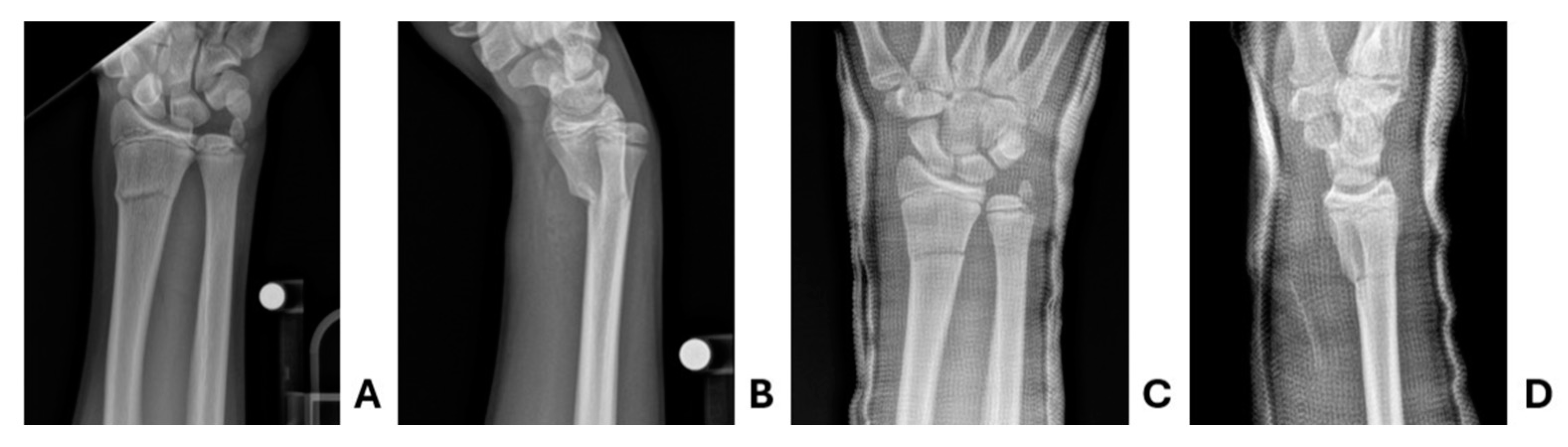 Preprints 155430 g006
