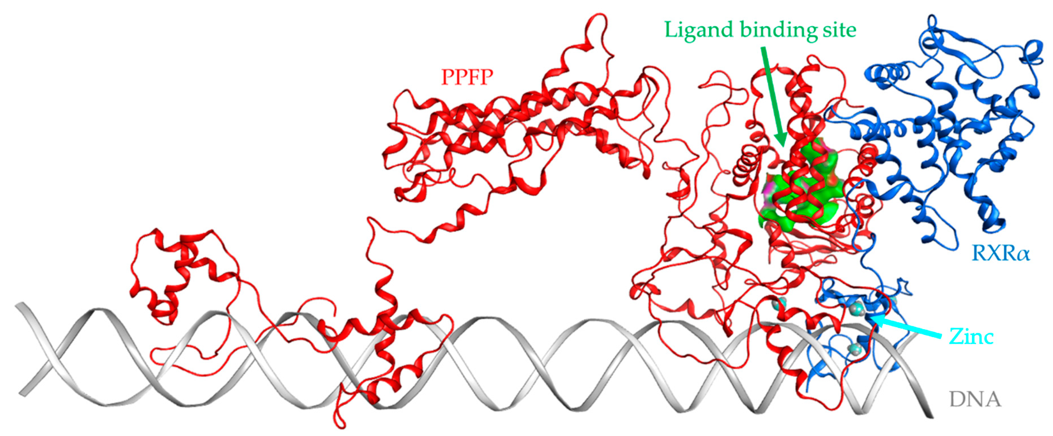 Preprints 102900 g002