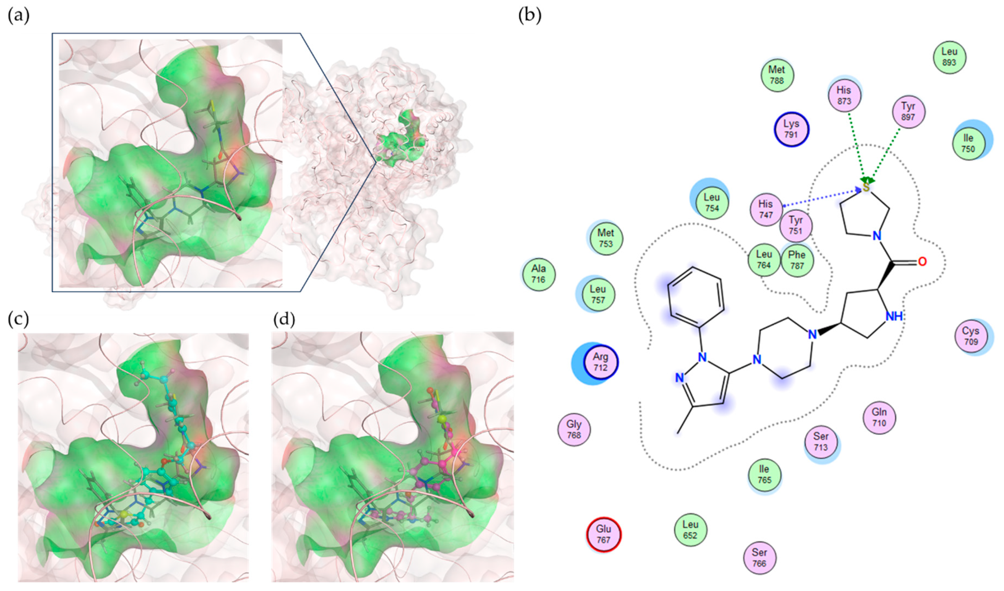 Preprints 102900 g003