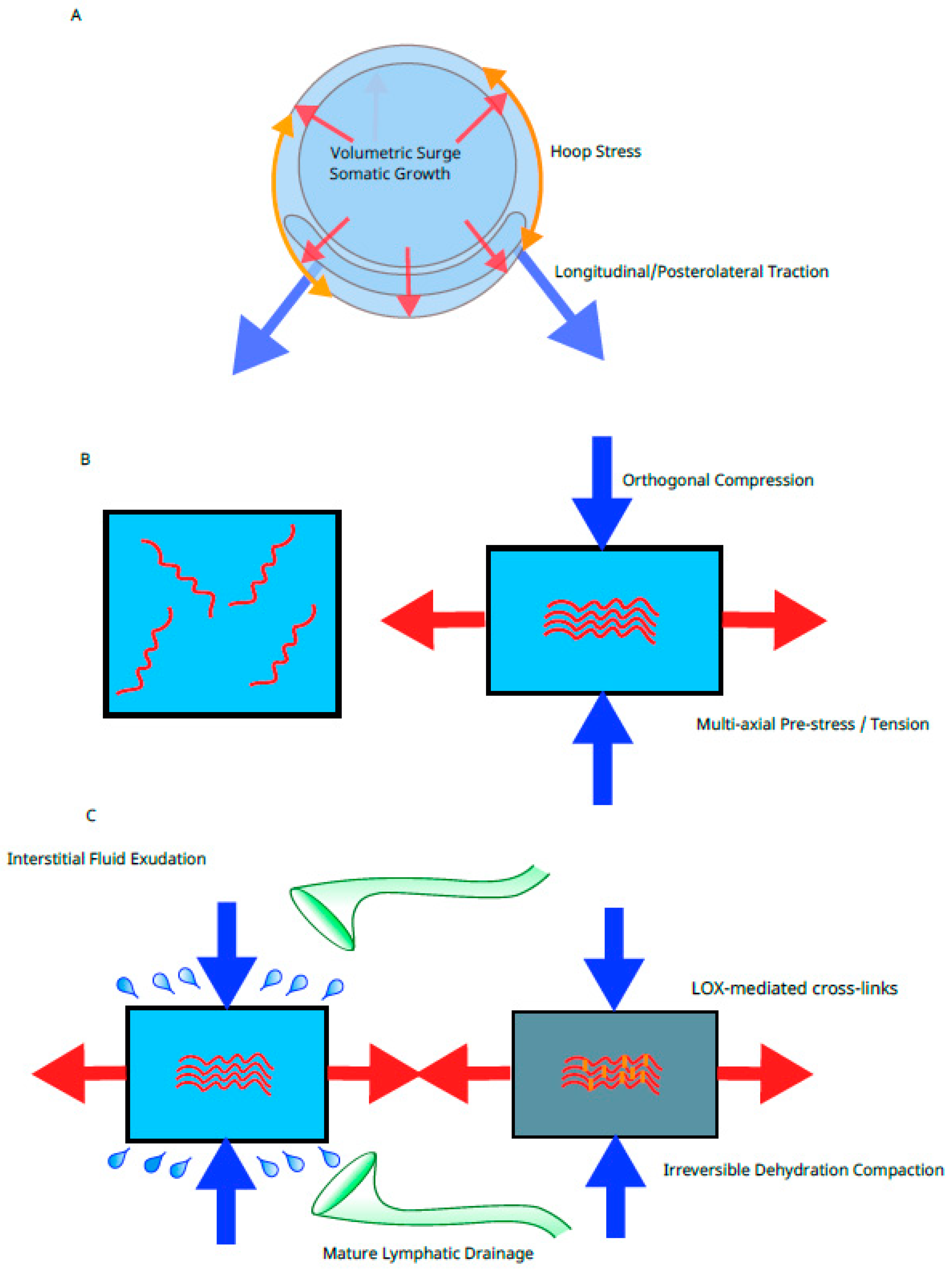 Preprints 217855 g004 Preprints 217855 g004