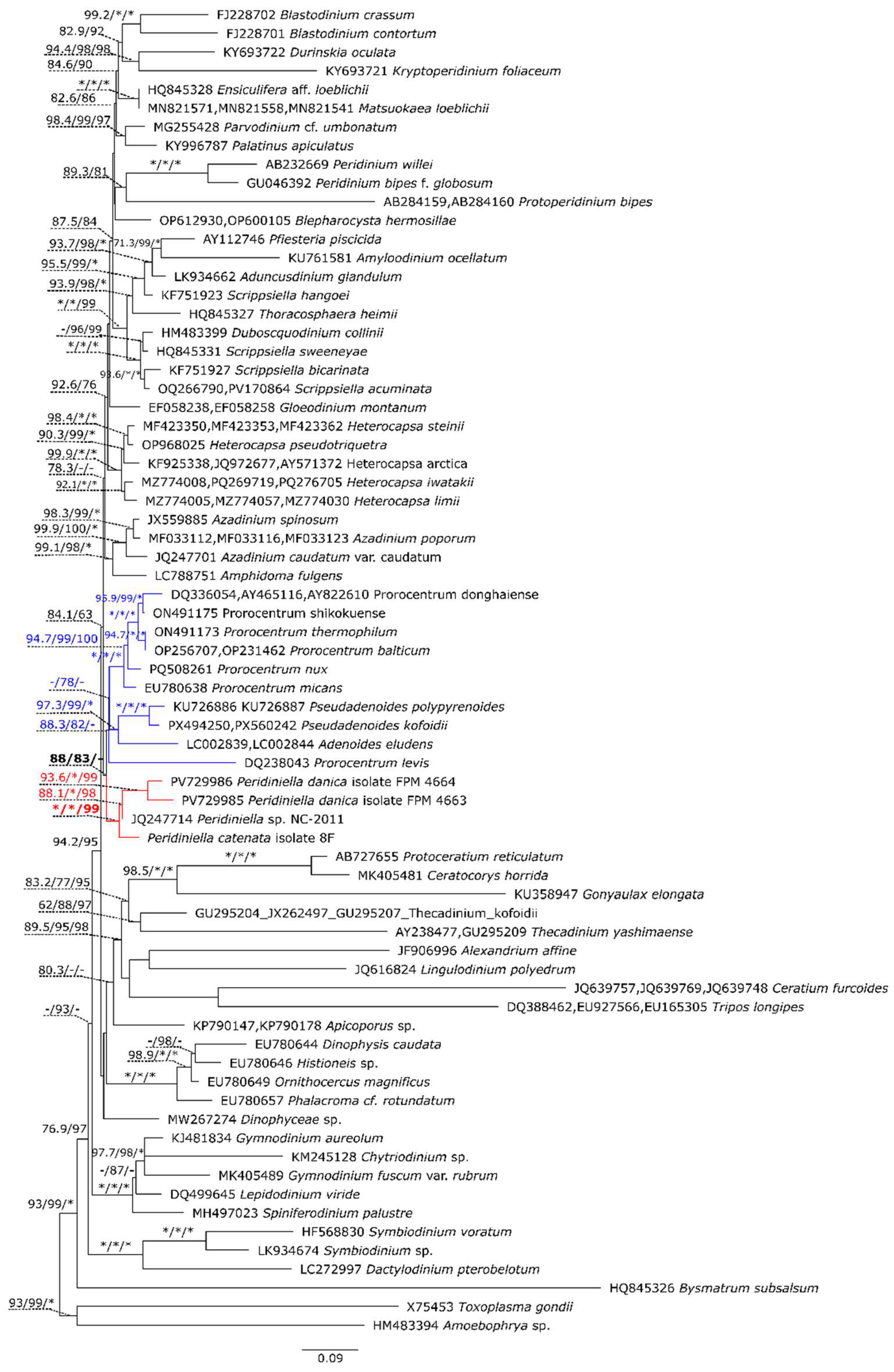Preprints 236606 g004 Preprints 236606 g004