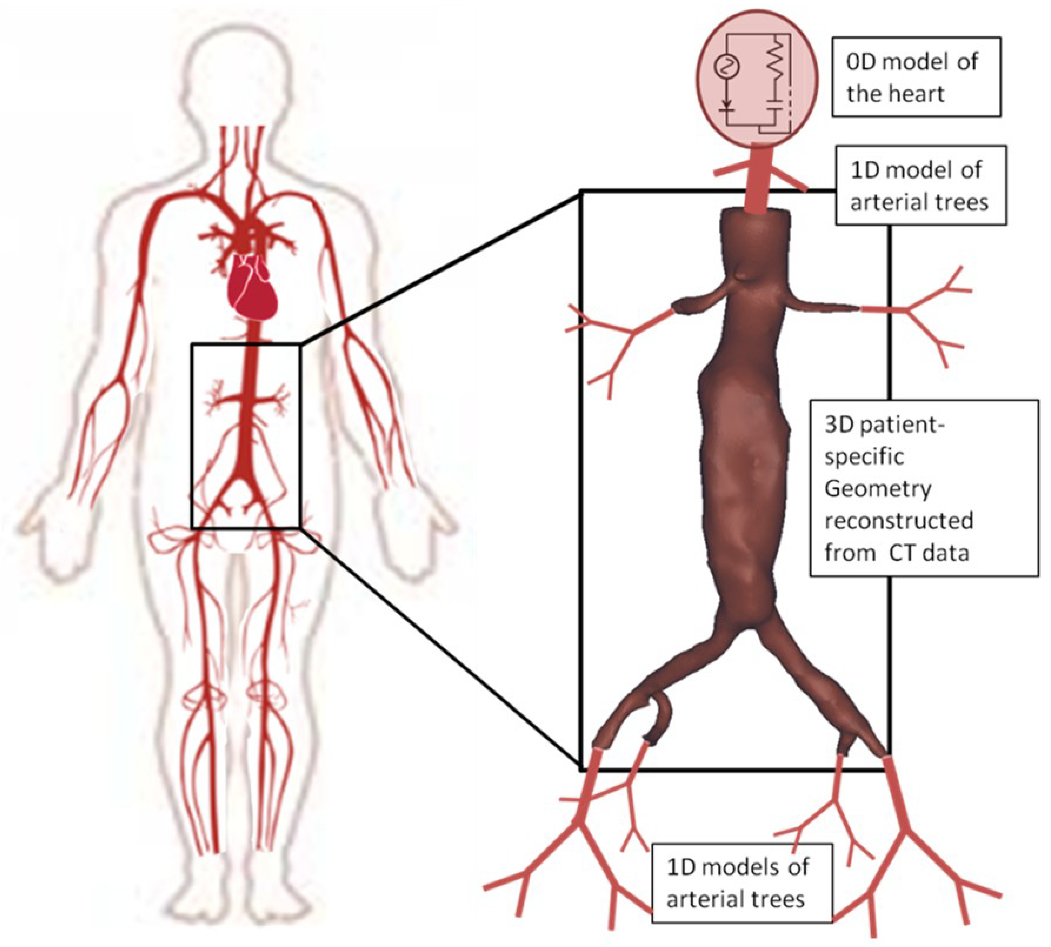 Preprints 154213 g001
