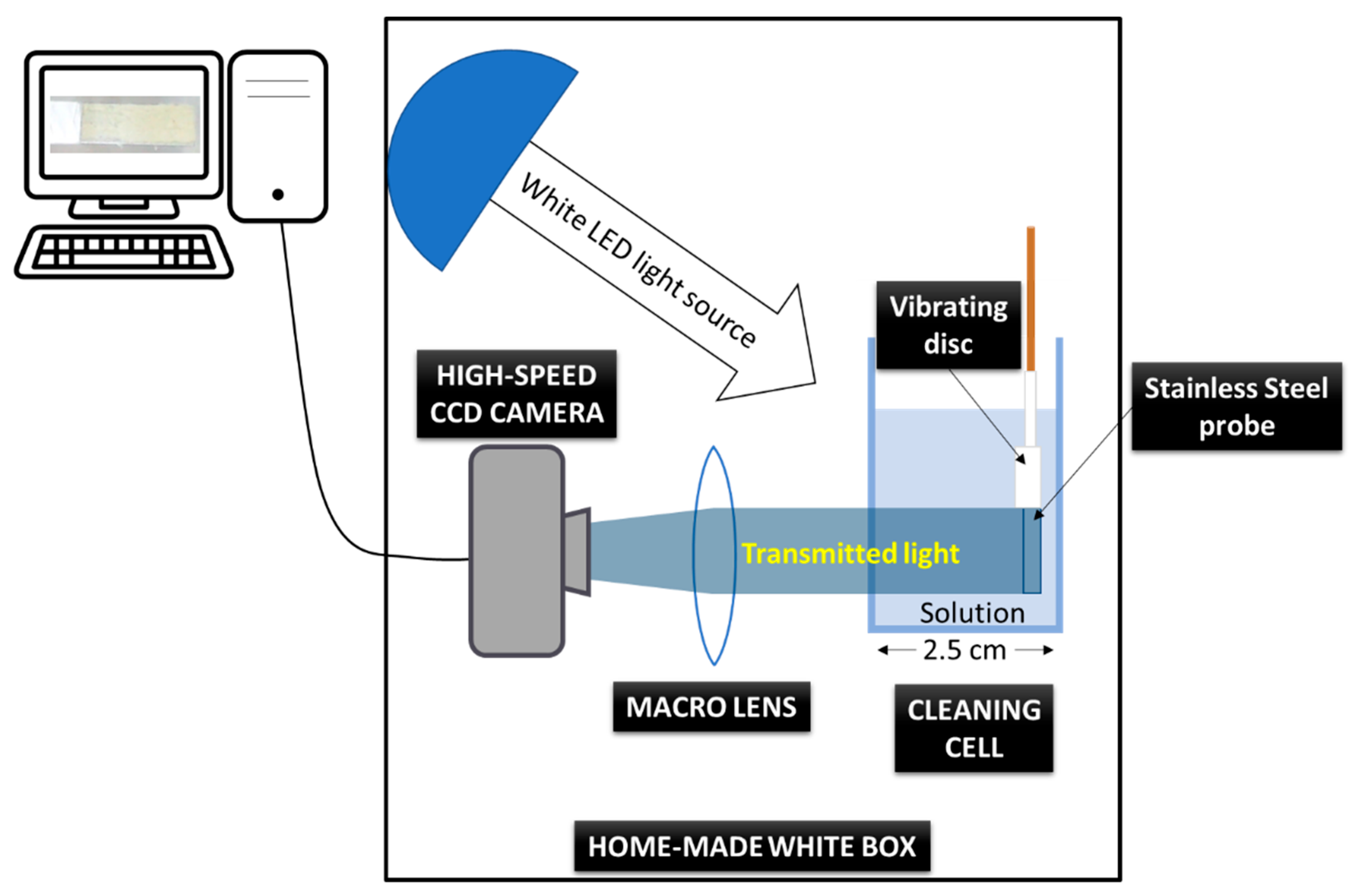 Preprints 145876 g001