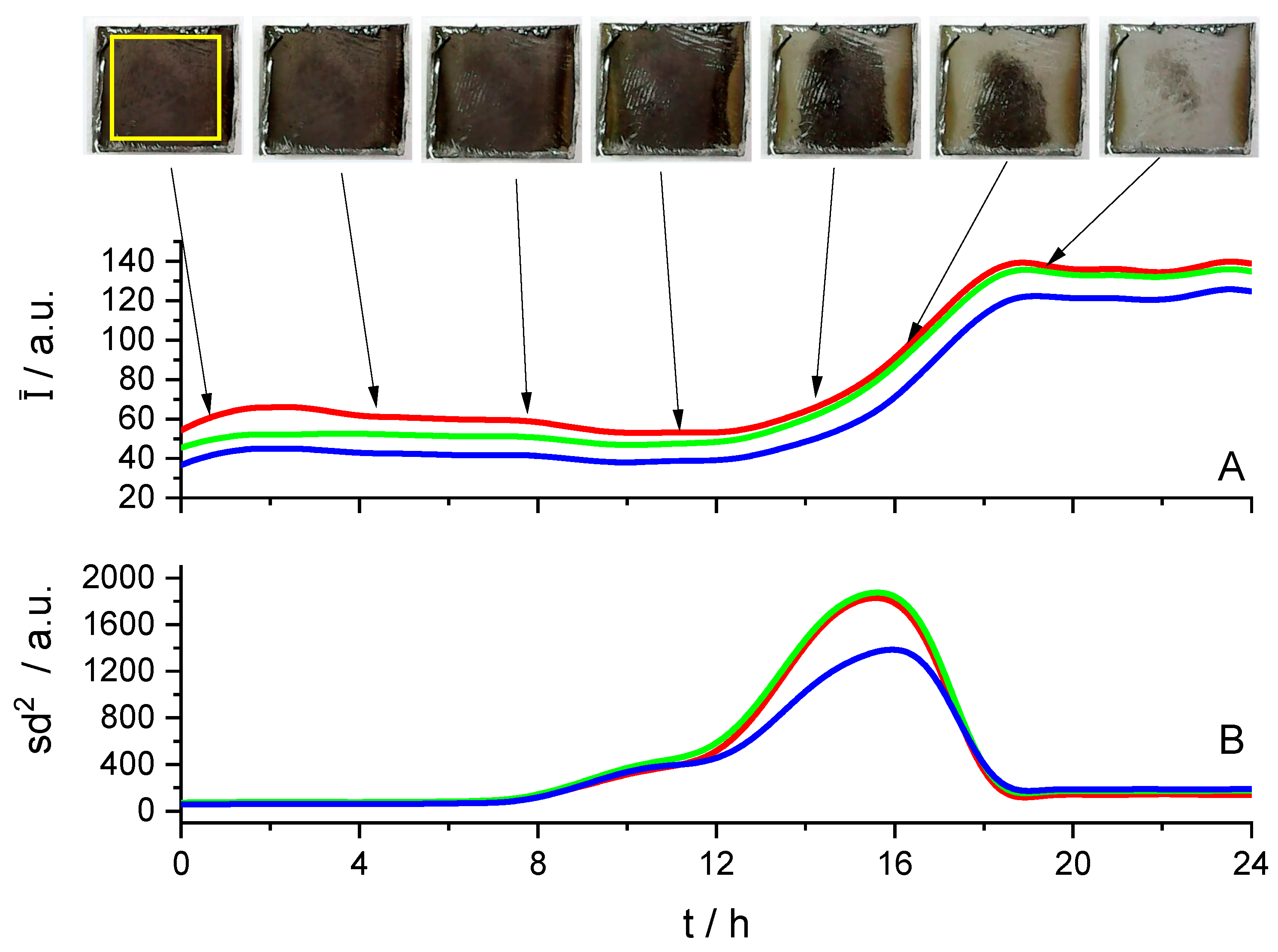 Preprints 145876 g004
