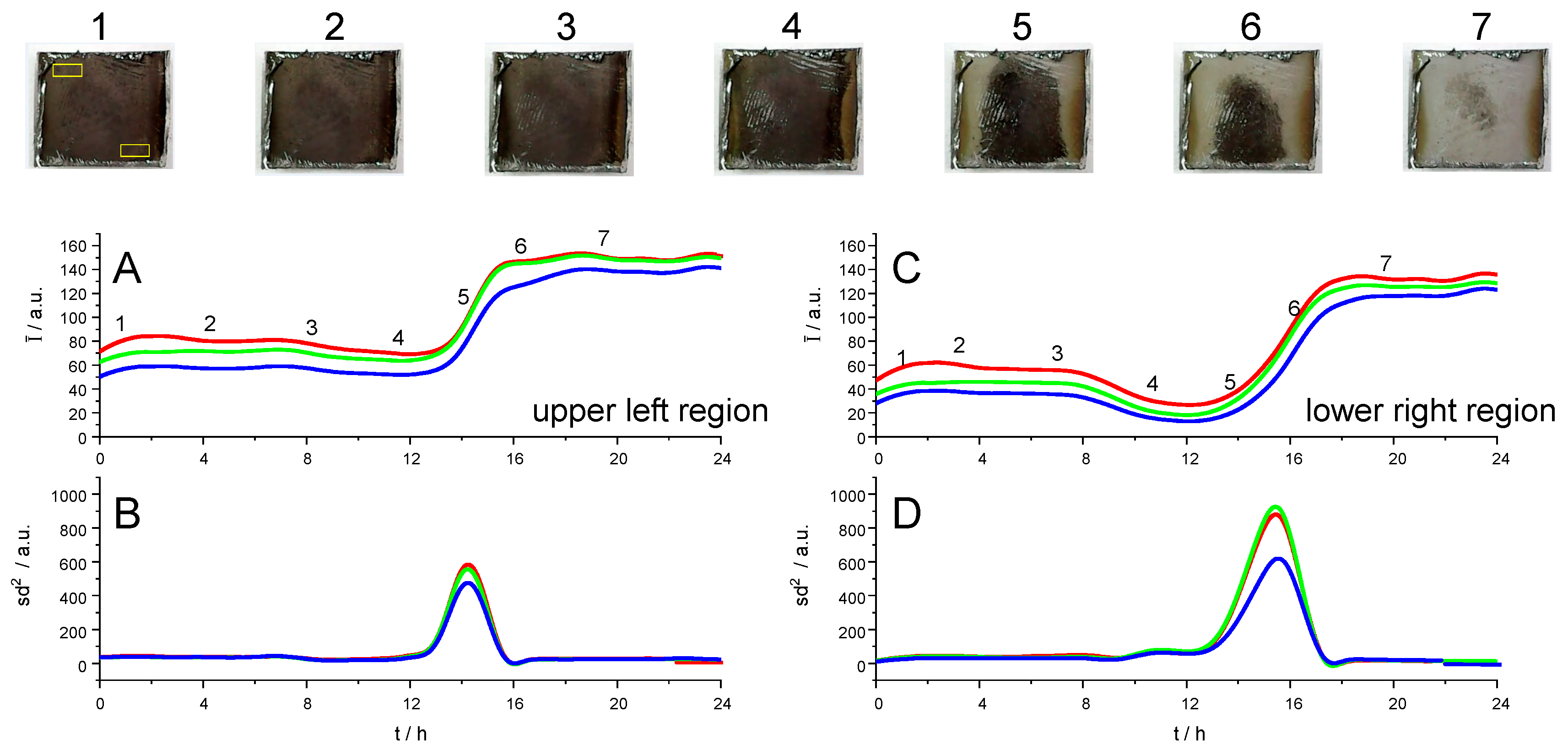 Preprints 145876 g005