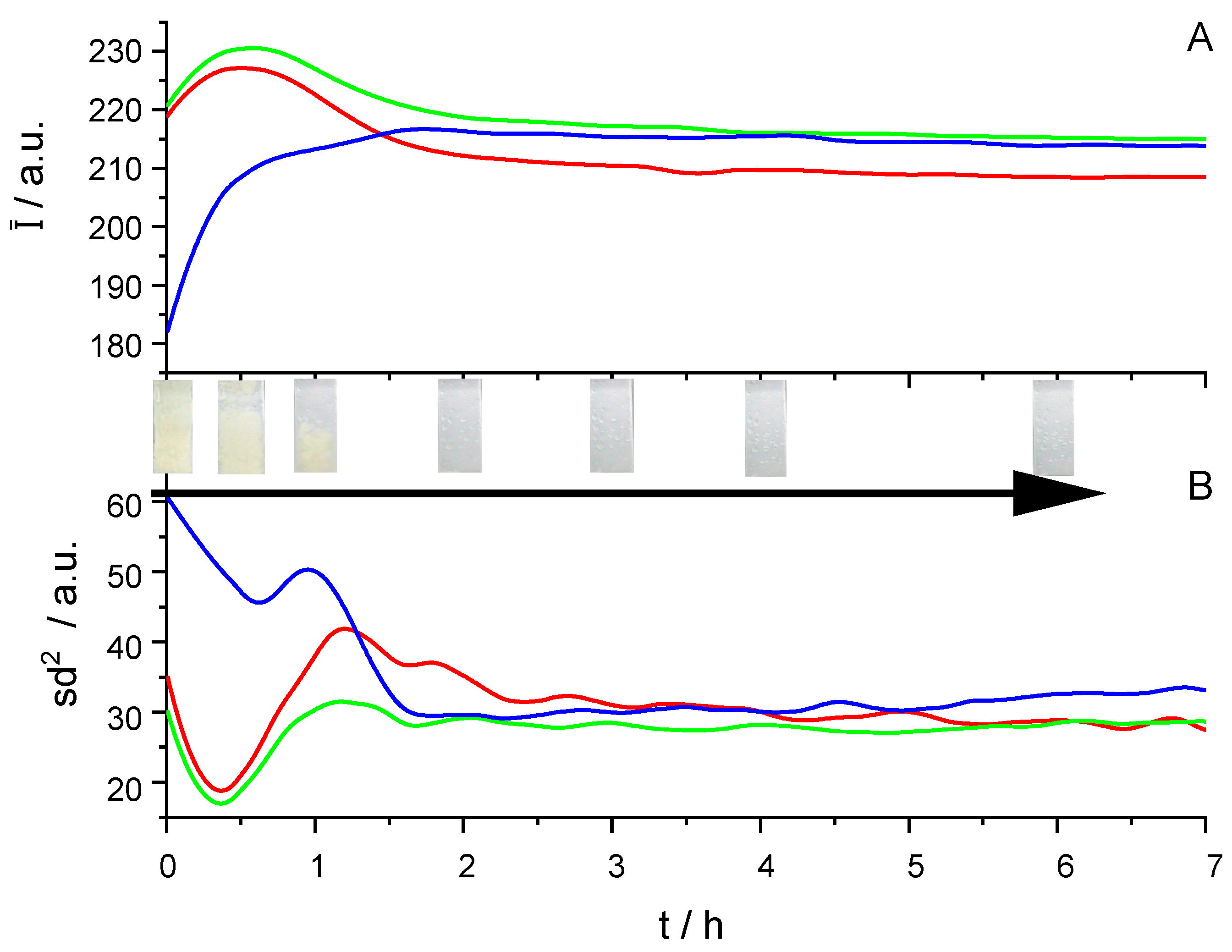 Preprints 145876 g009