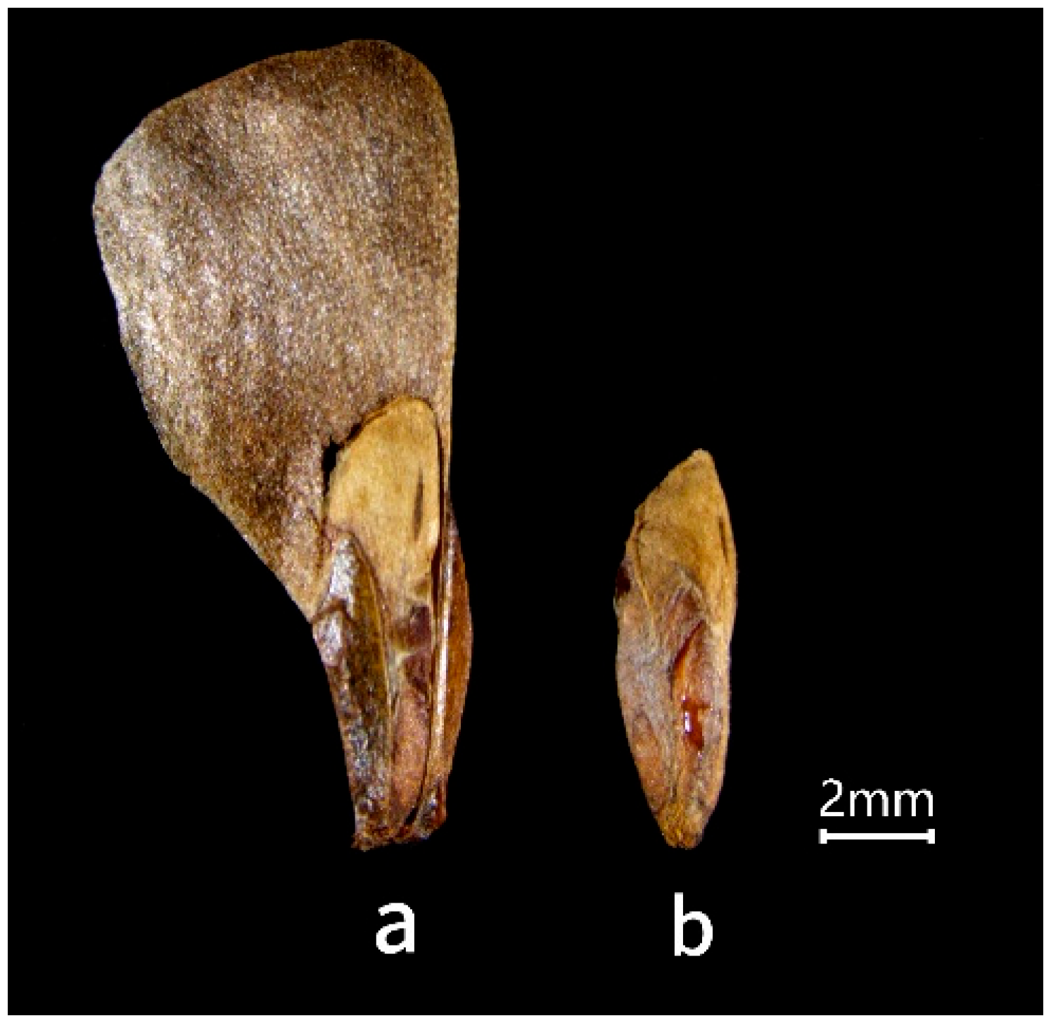 Preprints 191551 g001