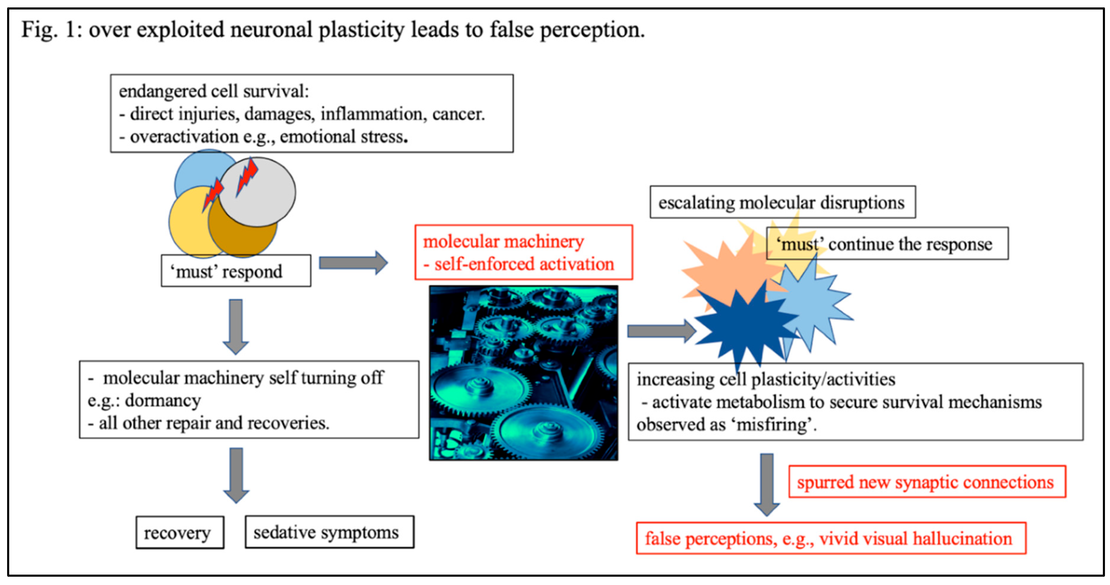 Preprints 164302 g001