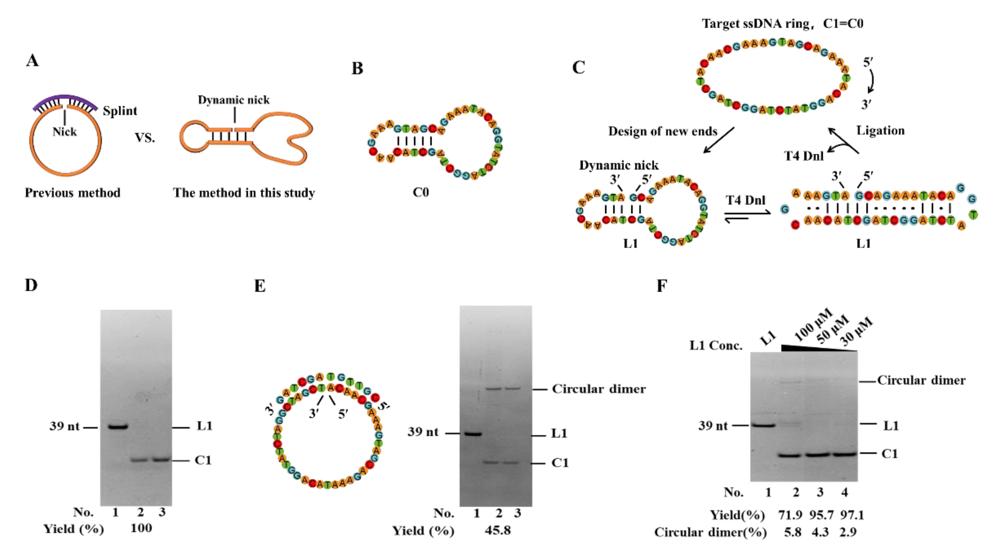 Preprints 113998 g001