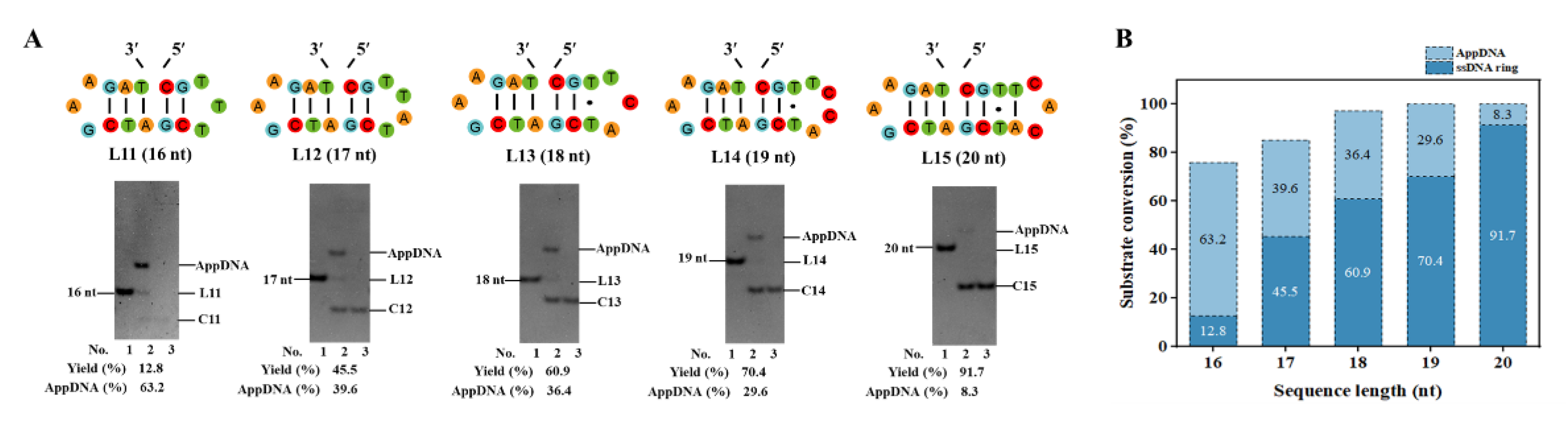 Preprints 113998 g002