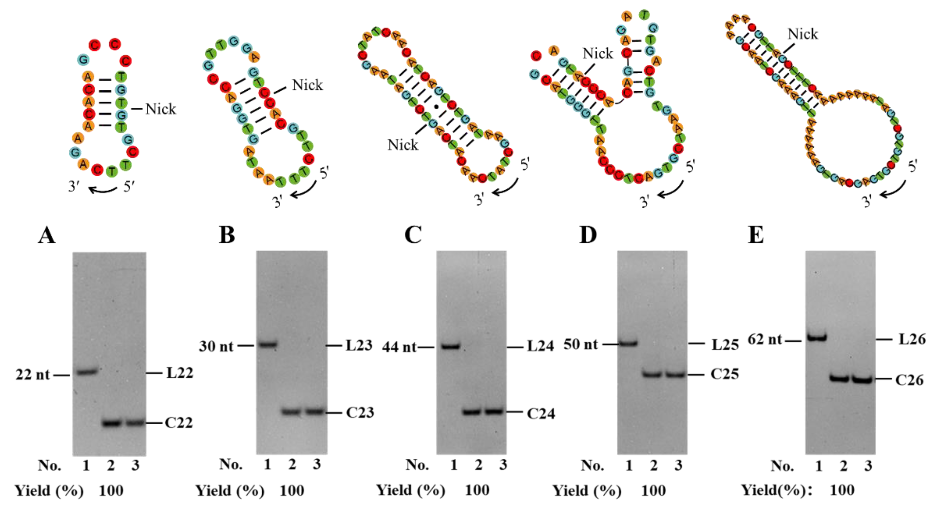 Preprints 113998 g005