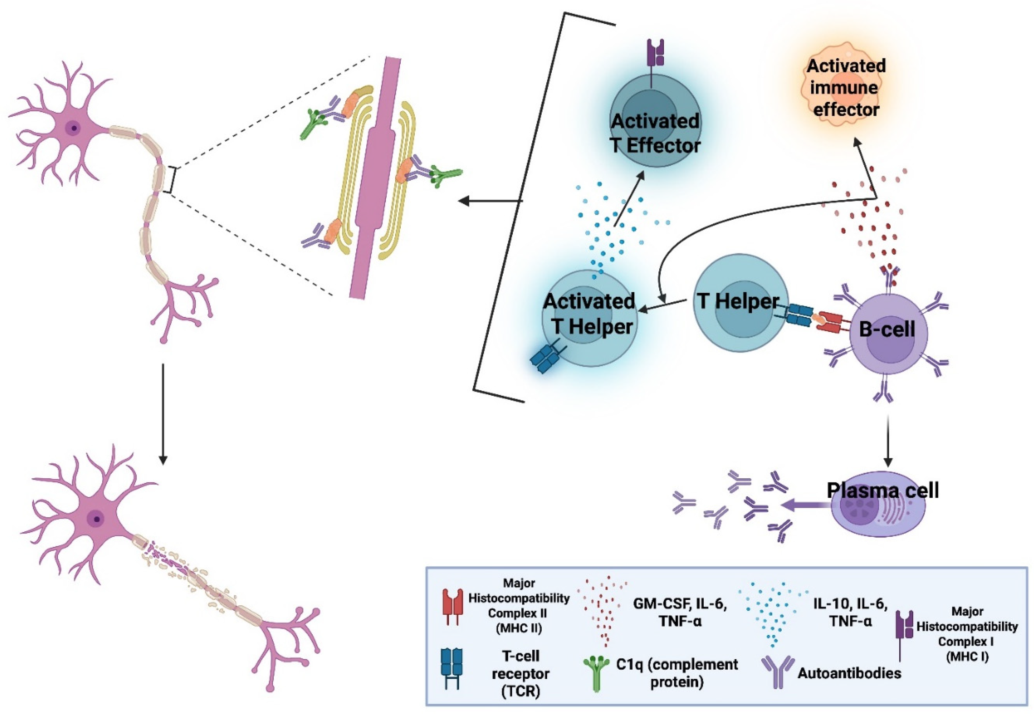 Preprints 189822 g001