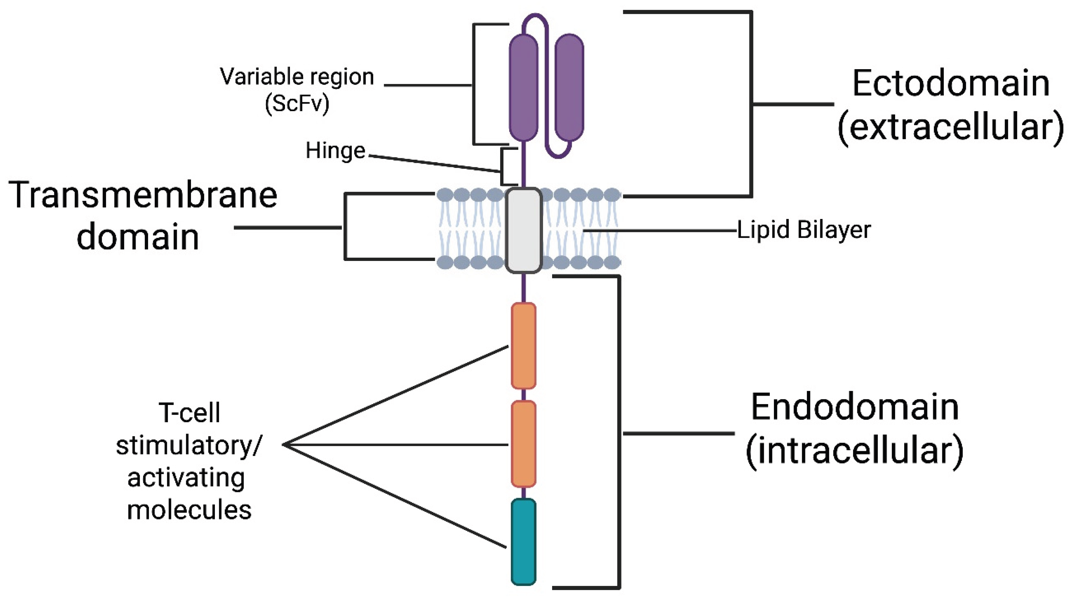 Preprints 189822 g002