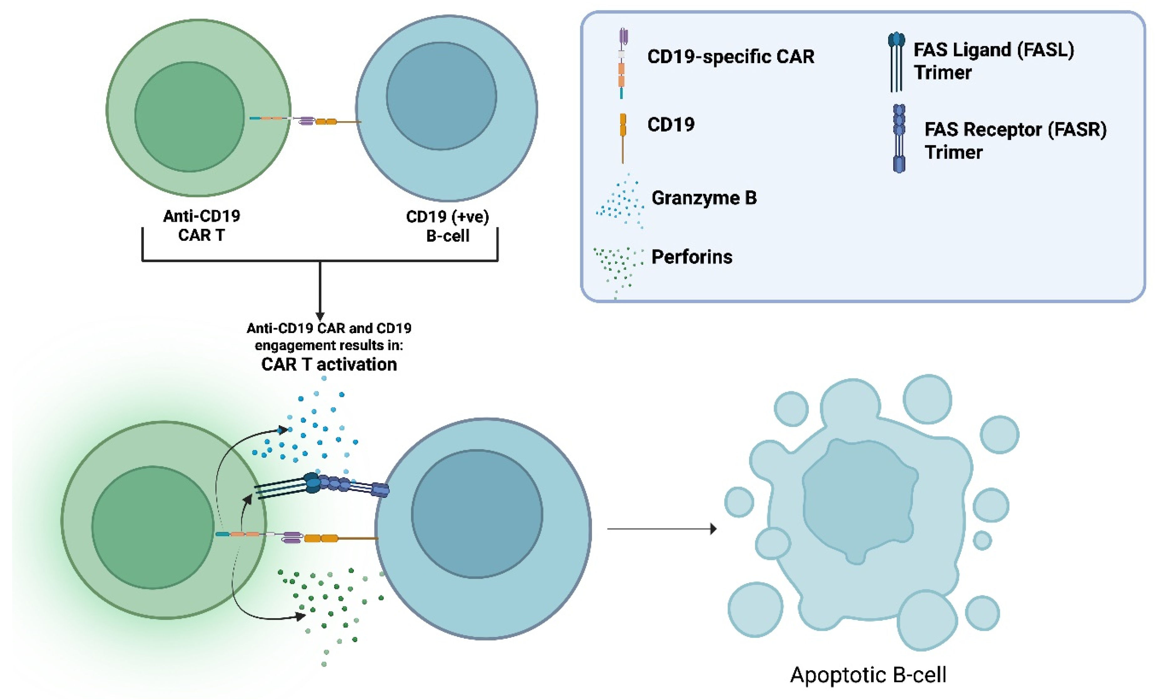 Preprints 189822 g003