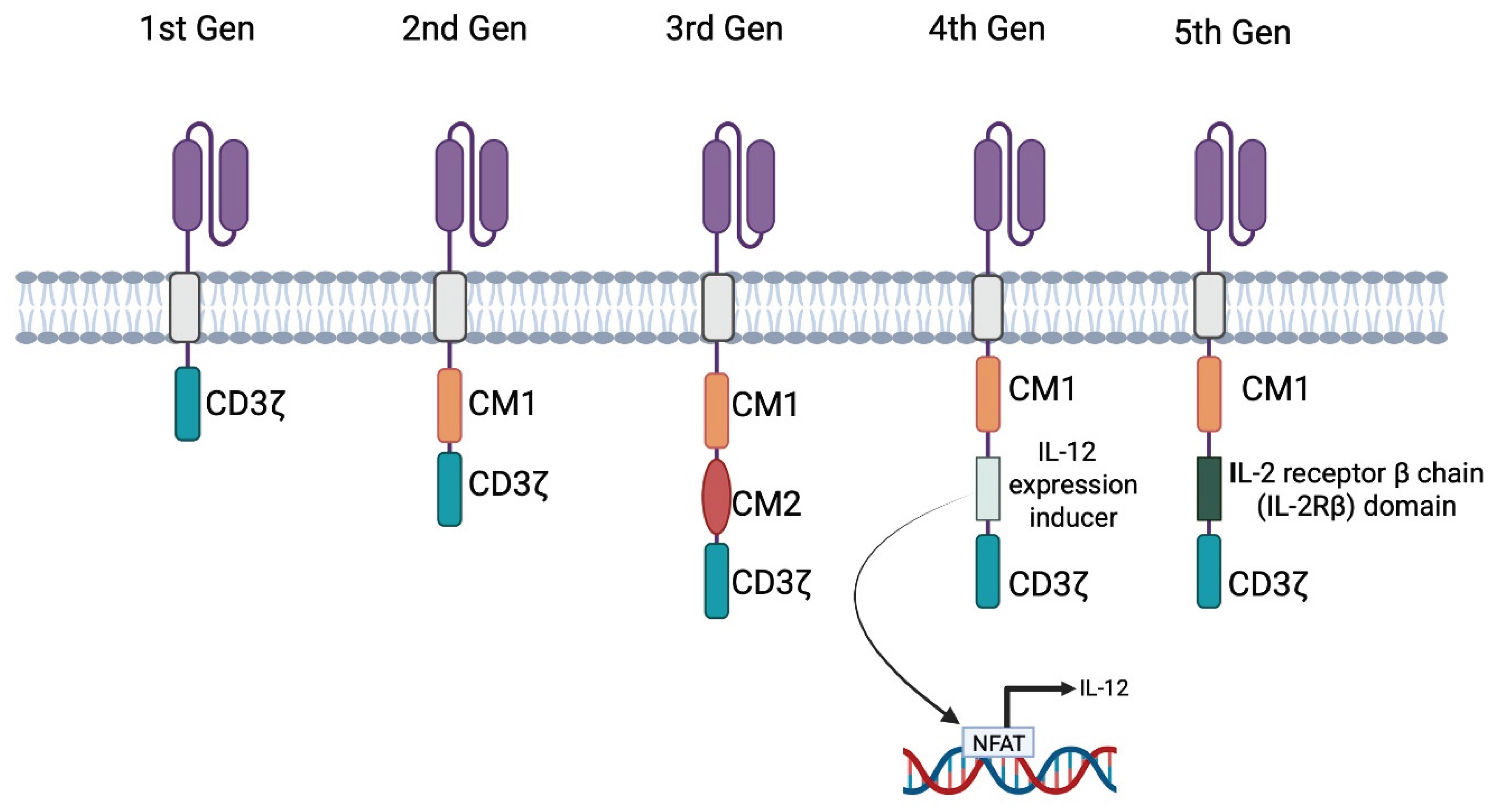 Preprints 189822 g004