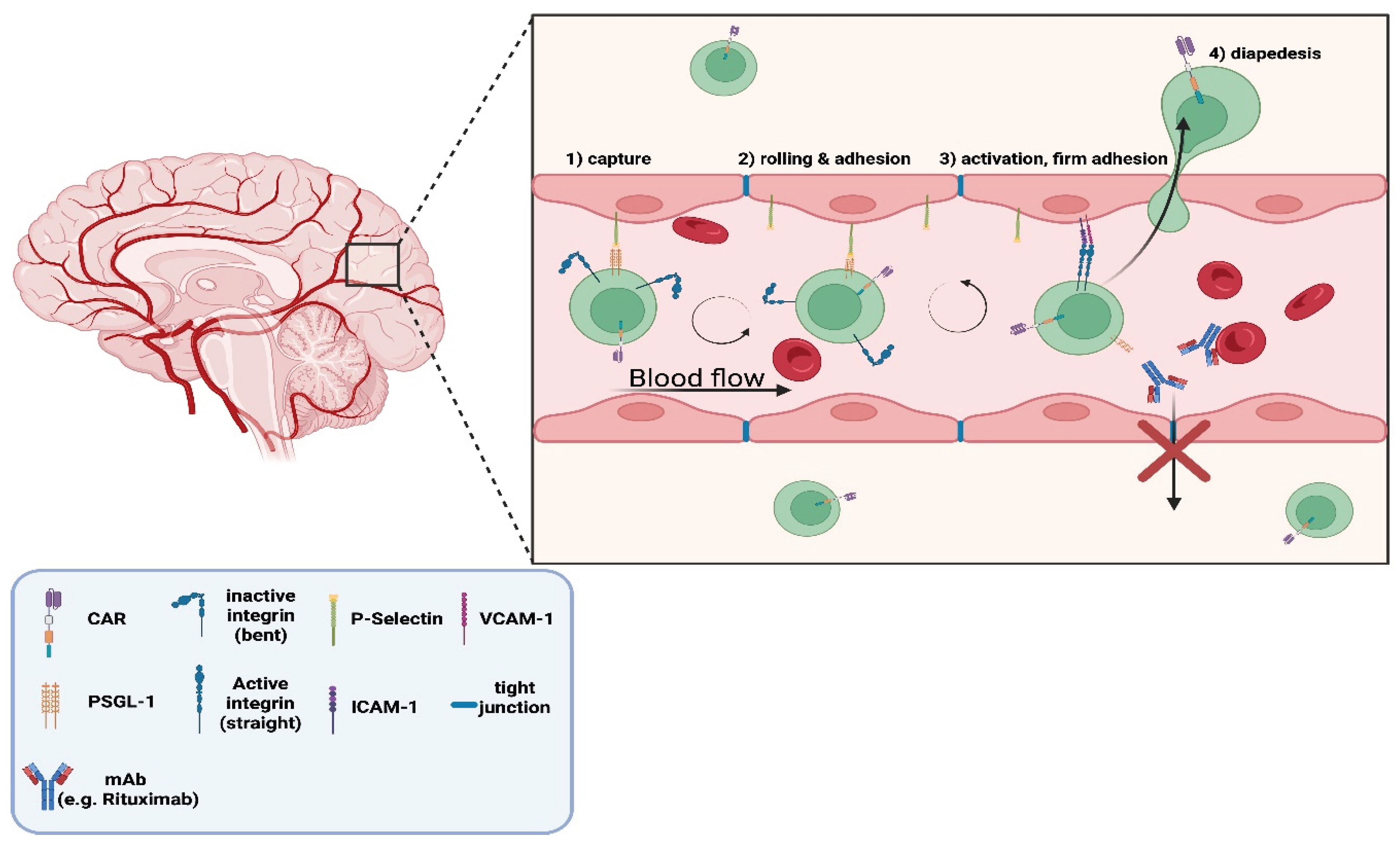 Preprints 189822 g005