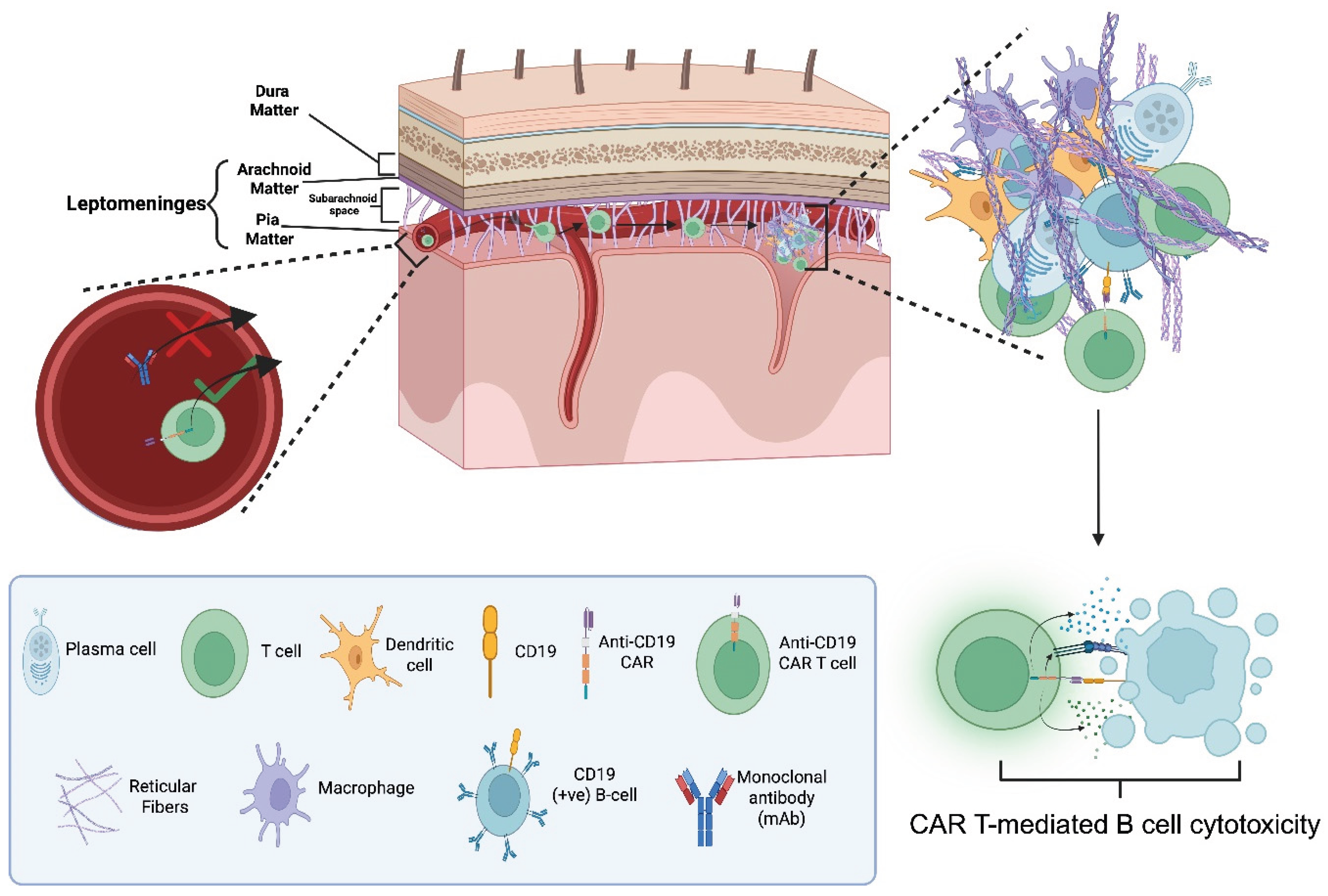Preprints 189822 g006