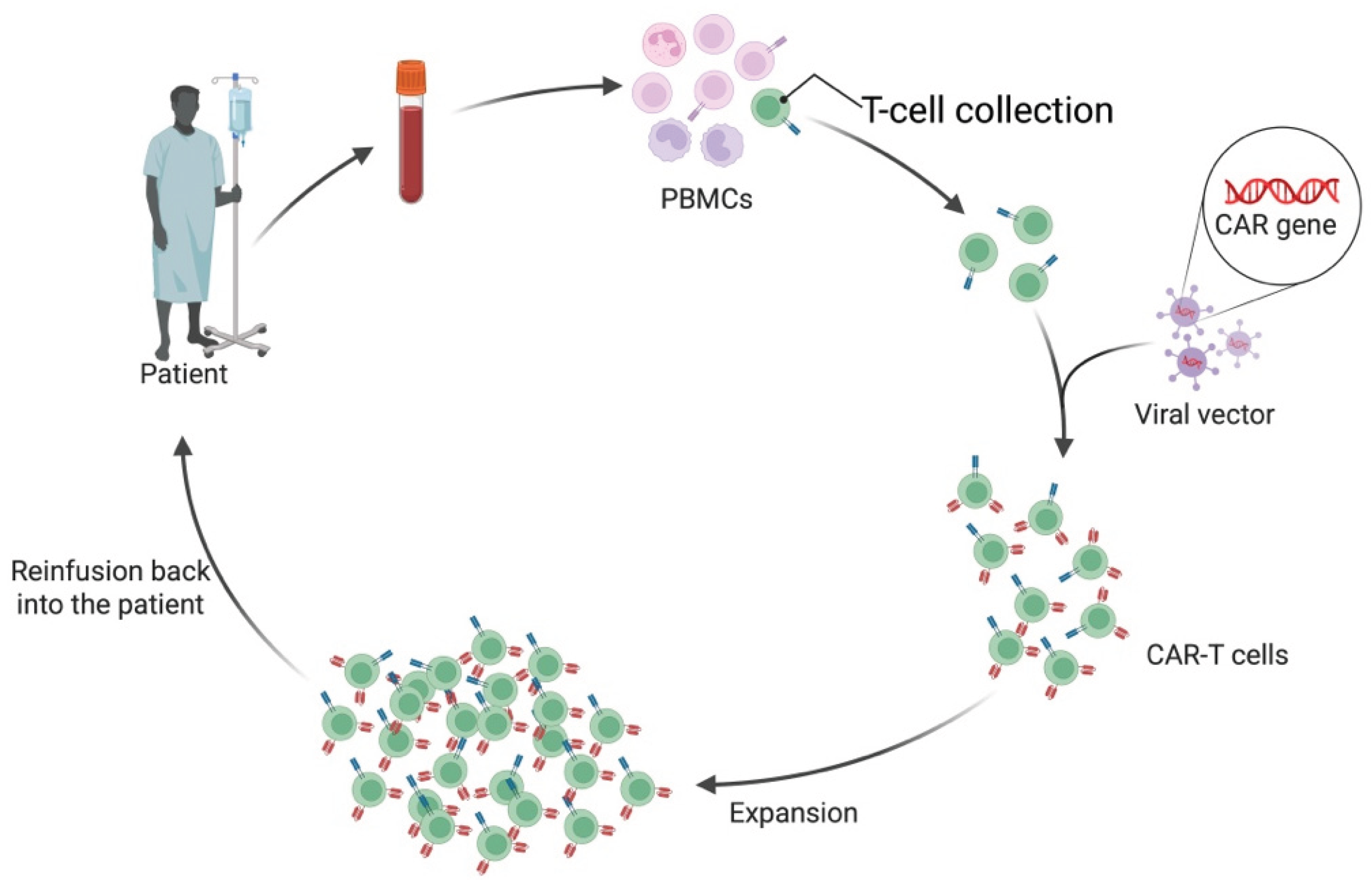 Preprints 189822 g008