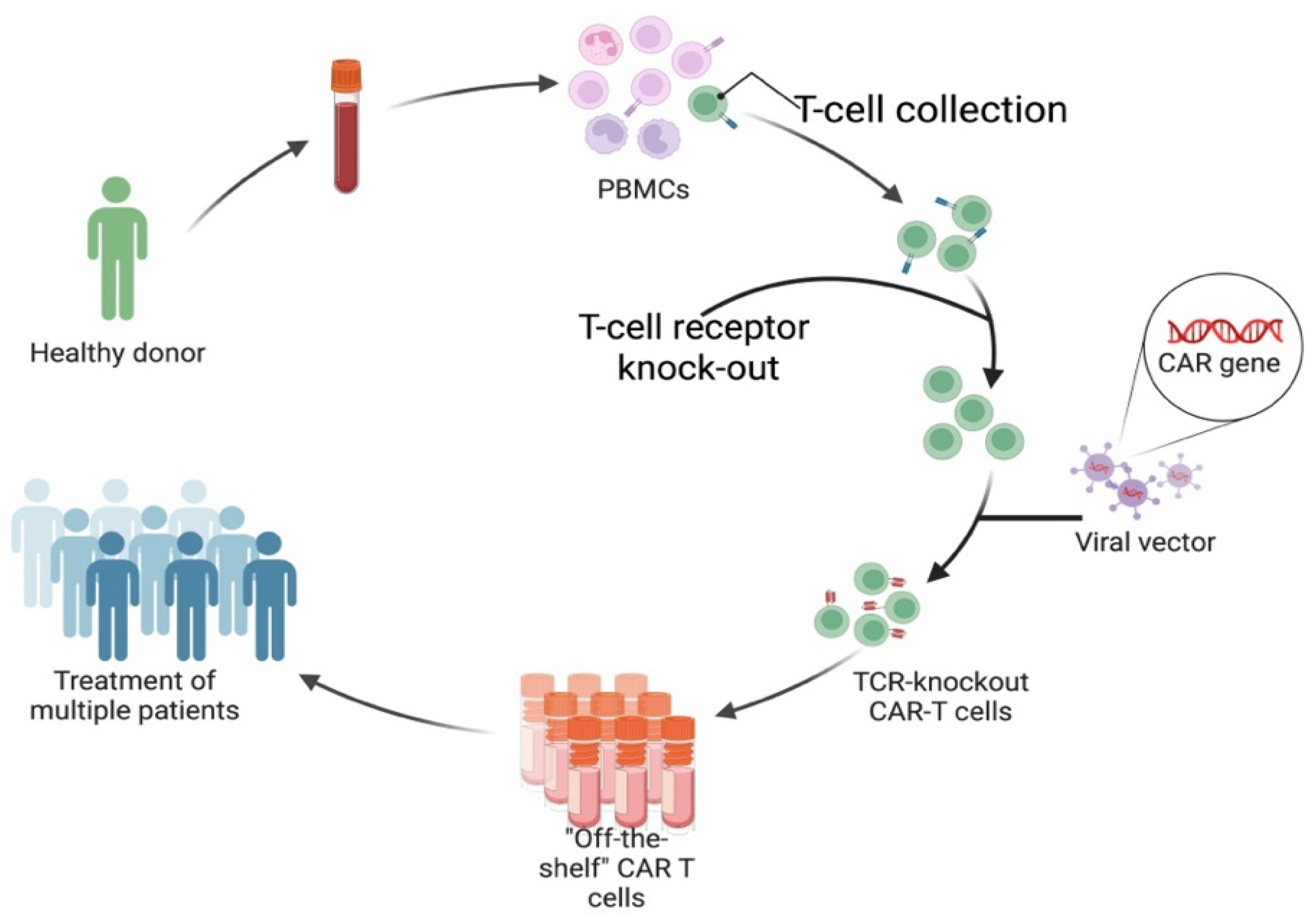 Preprints 189822 g009